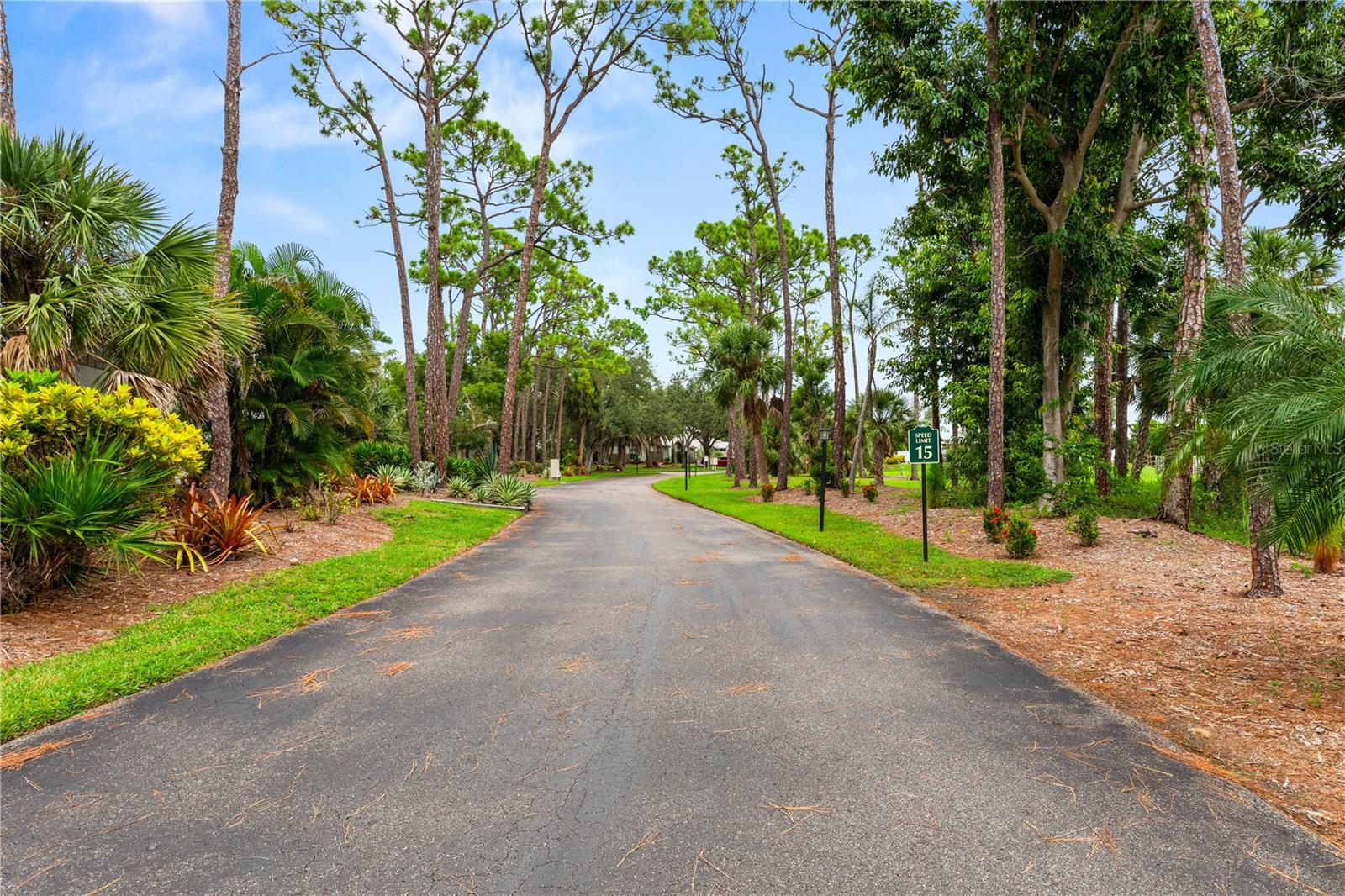Image 32 of 48 For 155 Jose Gaspar Drive 155