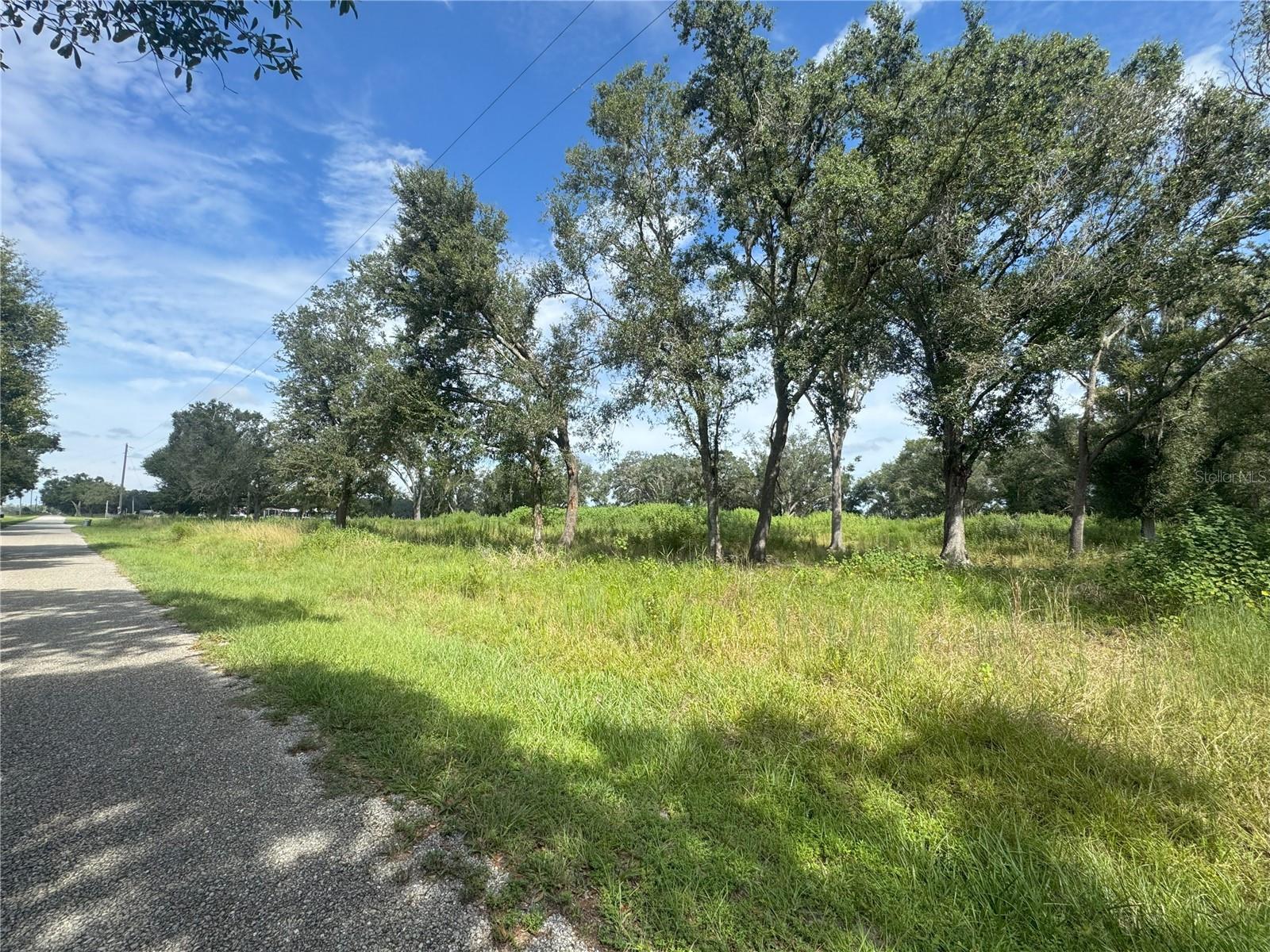 Details for 7114 Lily County Line Road, ONA, FL 33865