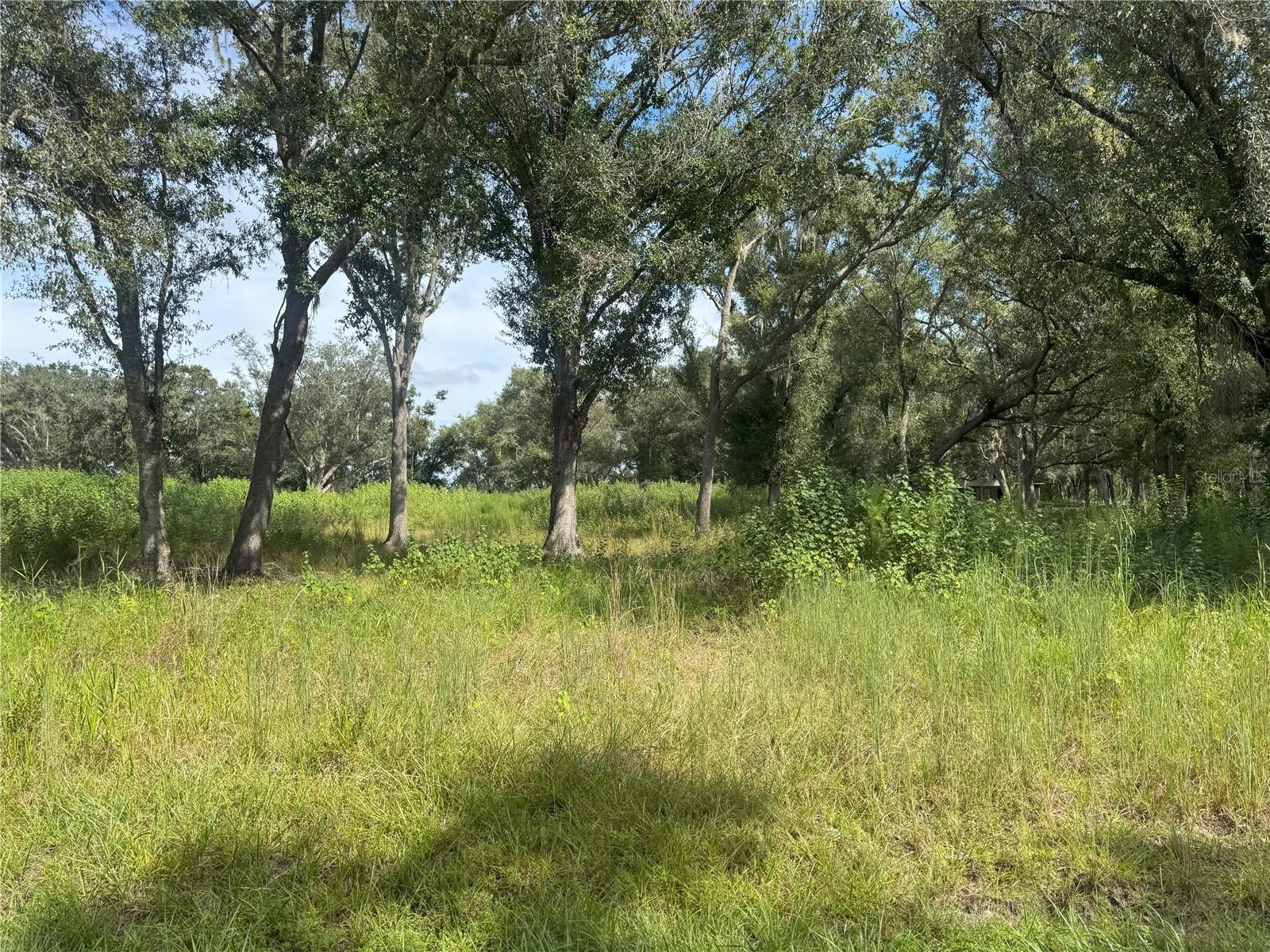 Image 3 of 6 For 7114 Lily County Line Road
