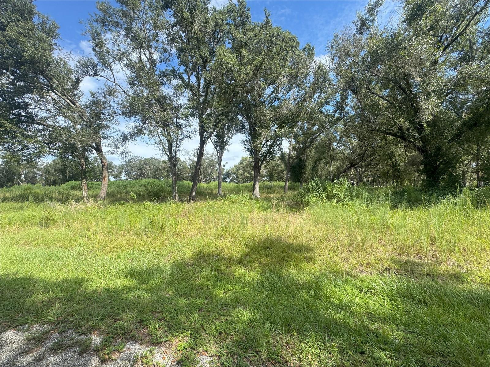 Image 4 of 6 For 7114 Lily County Line Road