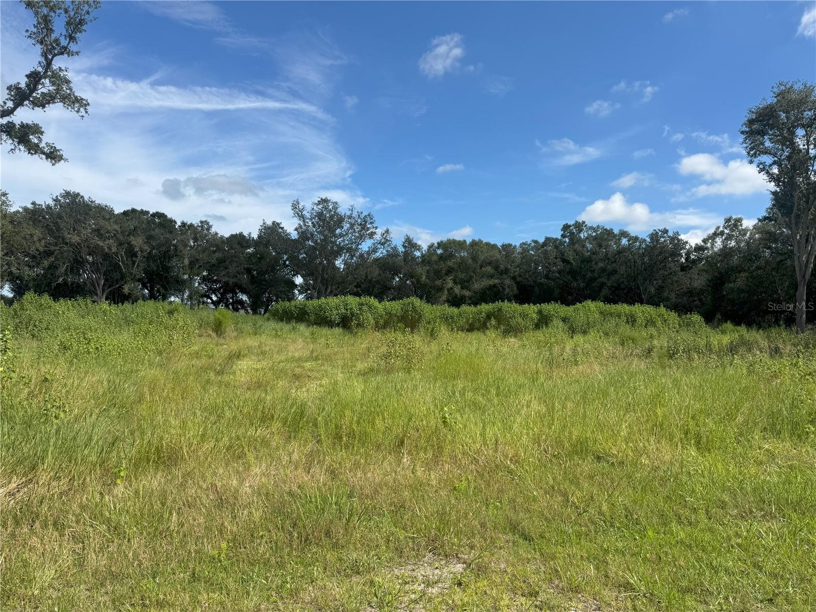 Image 6 of 6 For 7114 Lily County Line Road