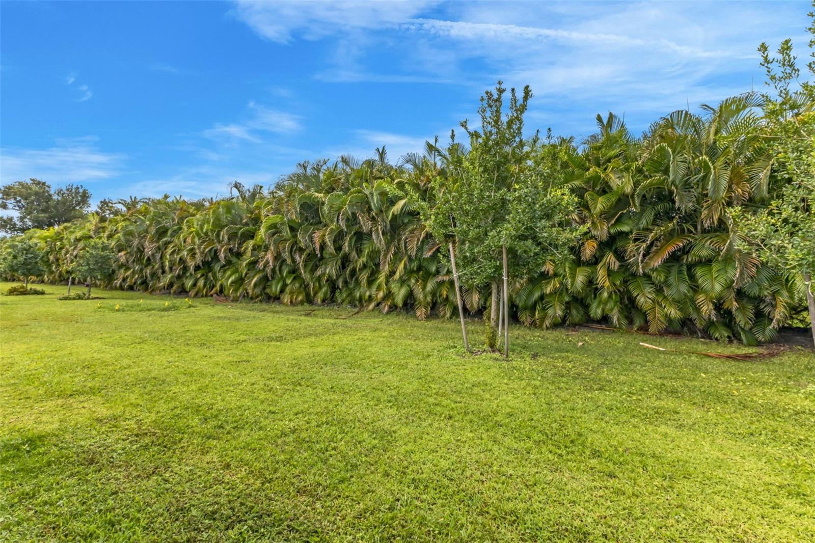 Image 30 of 60 For 7177 Lenox Circle