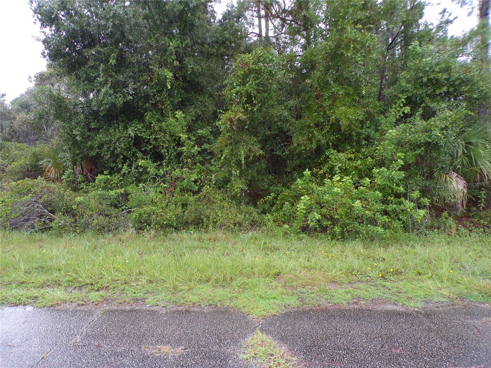 Image 2 of 10 For Nocturn Street