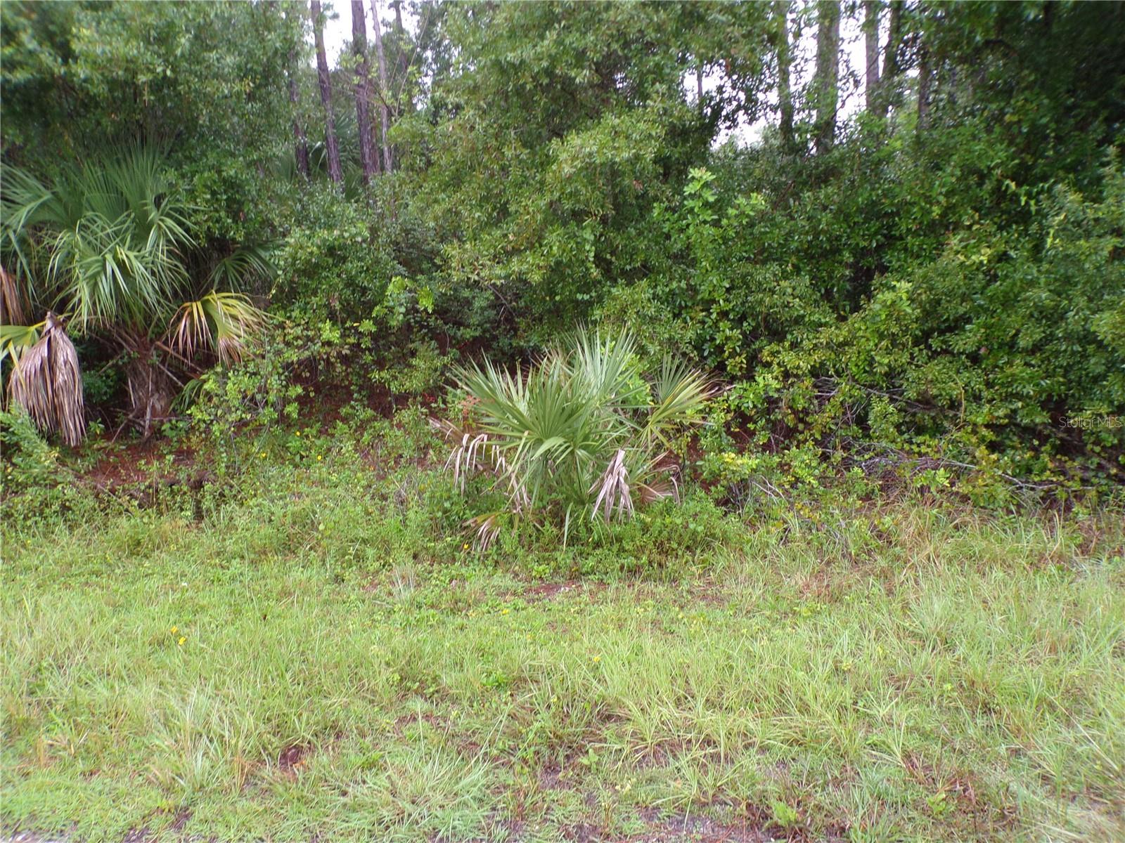 Image 5 of 10 For Nocturn Street