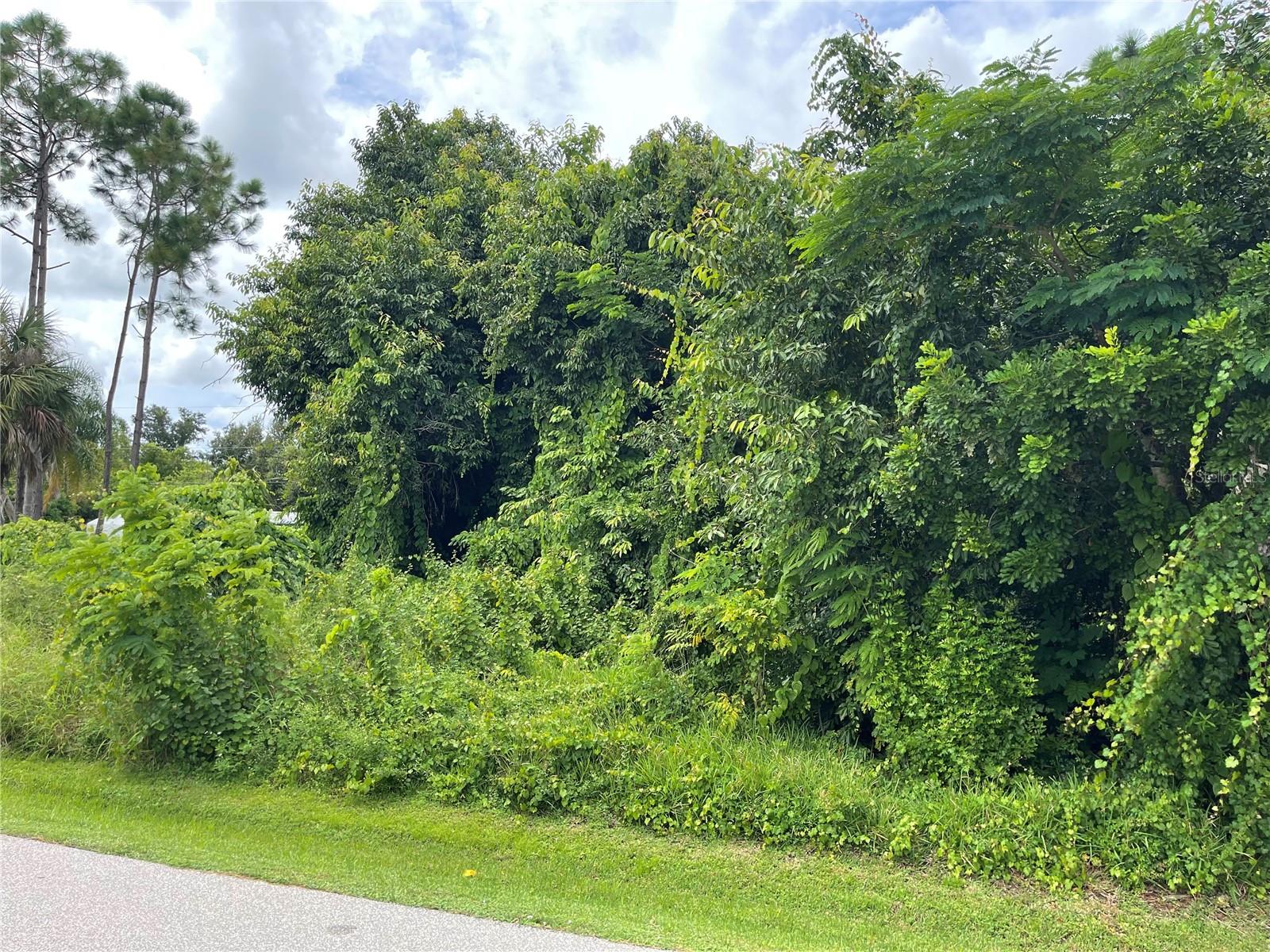 Image 2 of 4 For 11329 Pinetrail Road