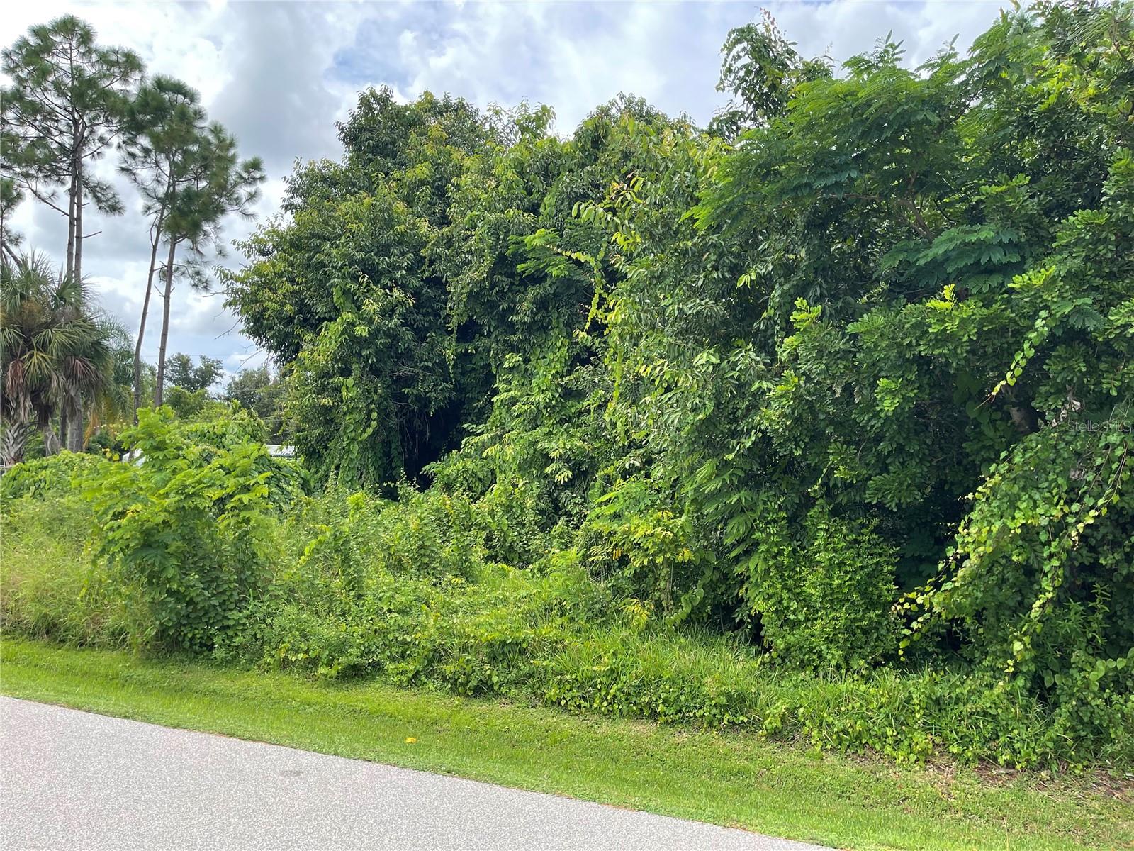 Image 3 of 4 For 11329 Pinetrail Road