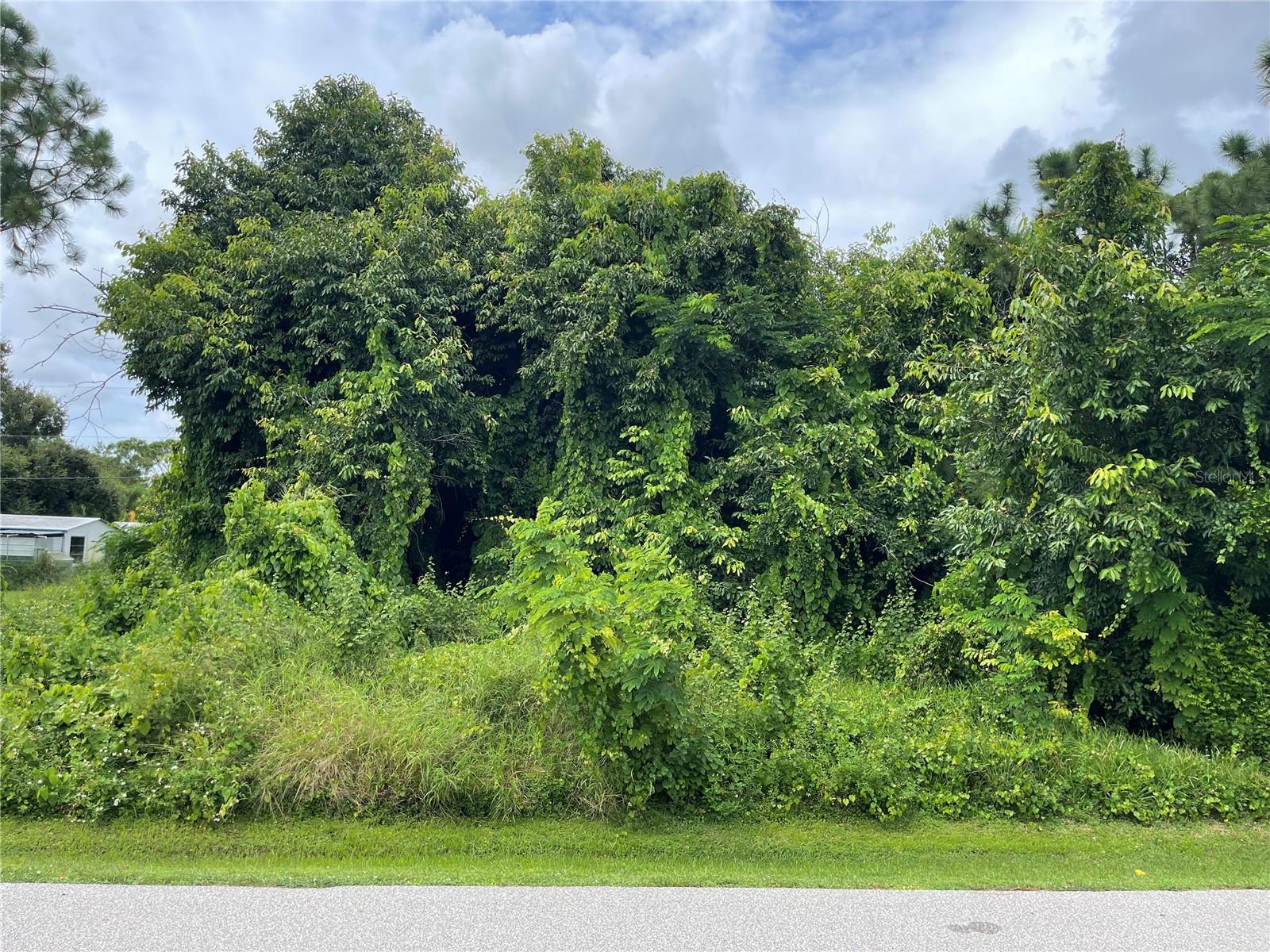 Image 4 of 4 For 11329 Pinetrail Road