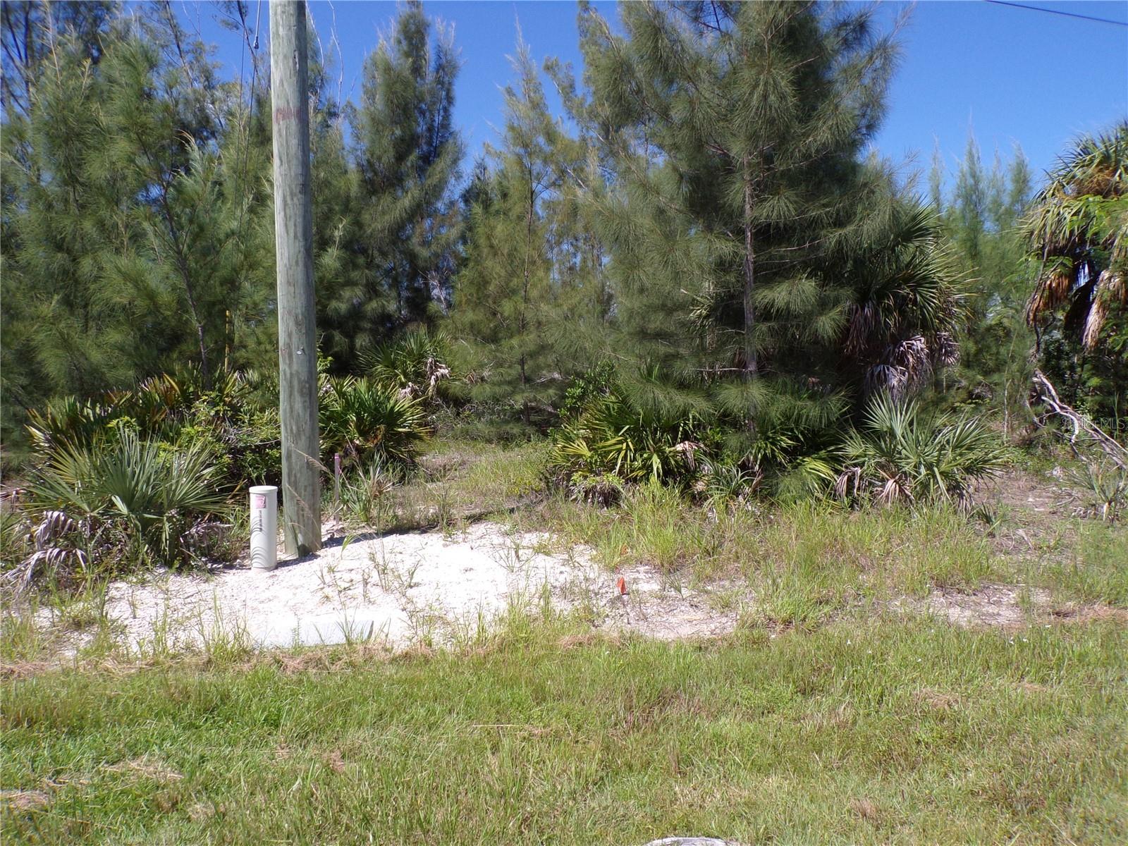 Image 9 of 35 For 9365 St Paul Drive