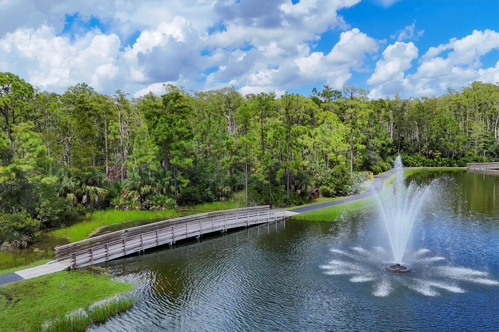 Image 87 of 87 For 10791 Palazzo Way 105