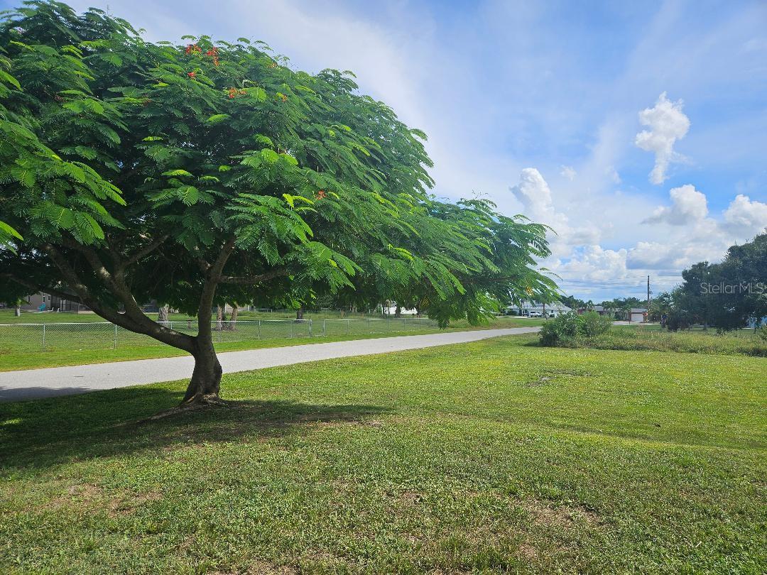 Image 39 of 41 For 2459 Cushing Drive