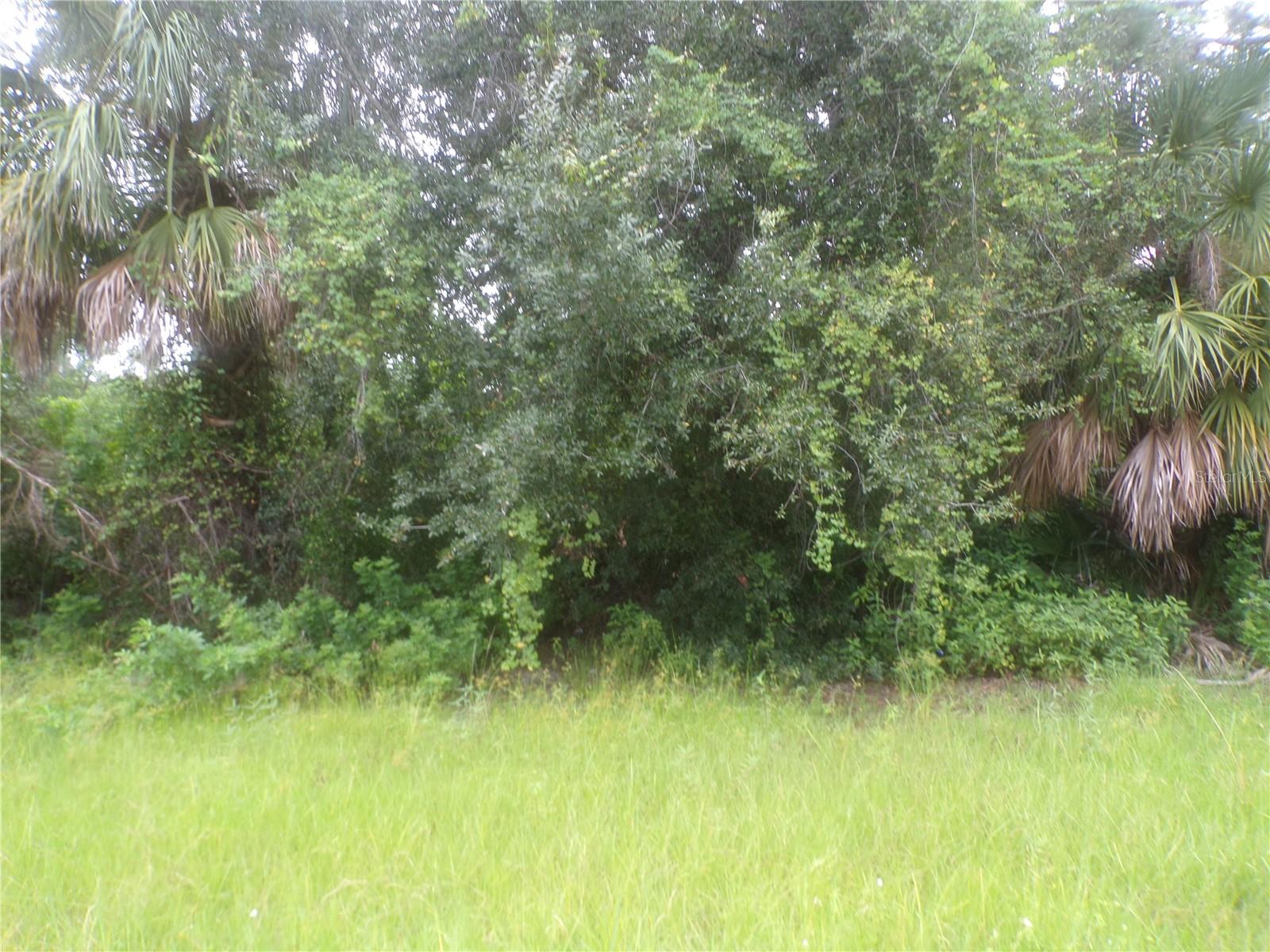 Image 5 of 11 For Ponce De Leon Boulevard