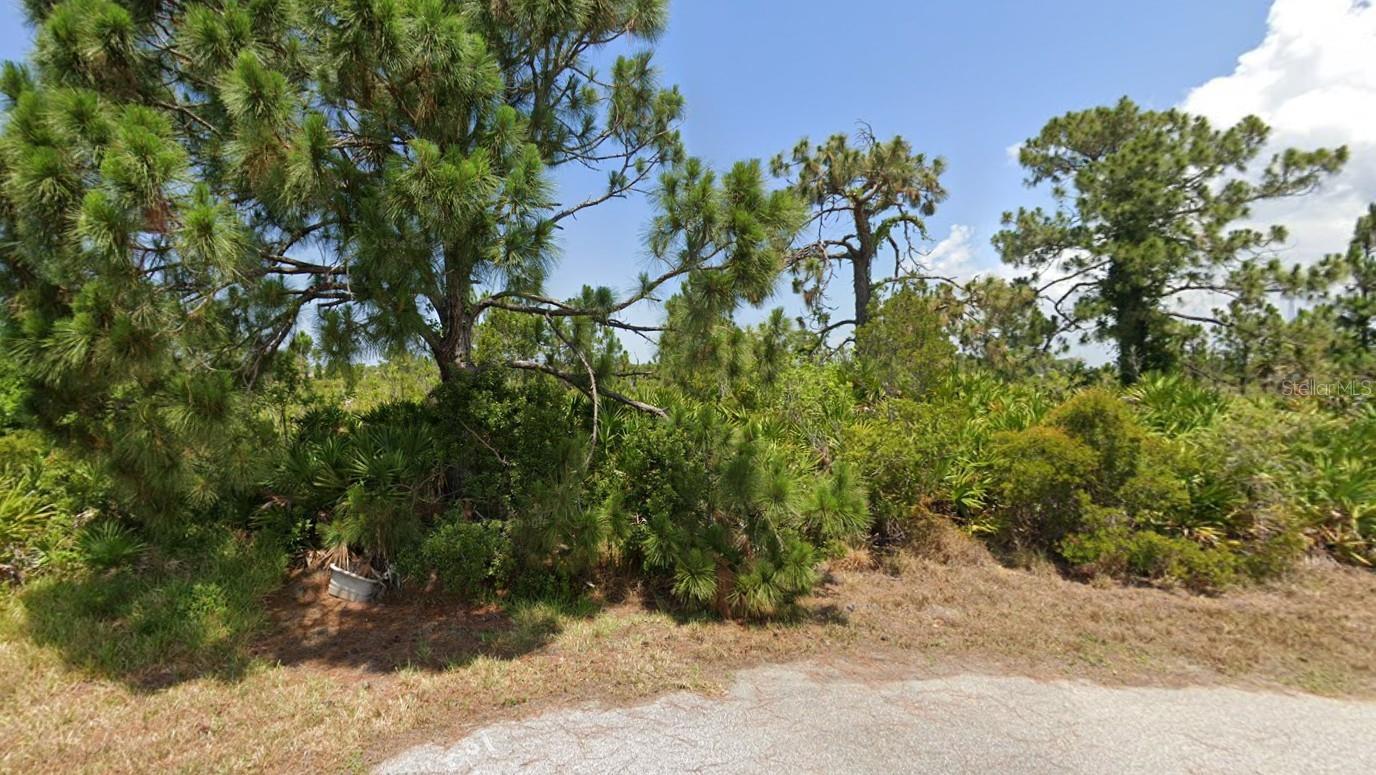 Image 3 of 27 For 12 Dog Court