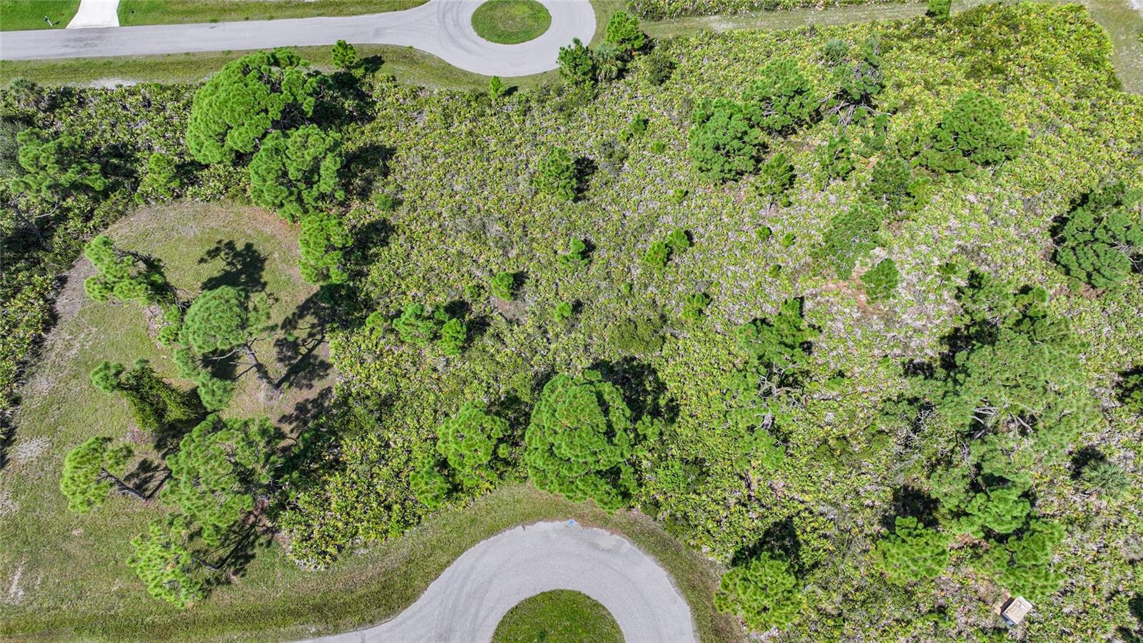 Image 7 of 27 For 12 Dog Court