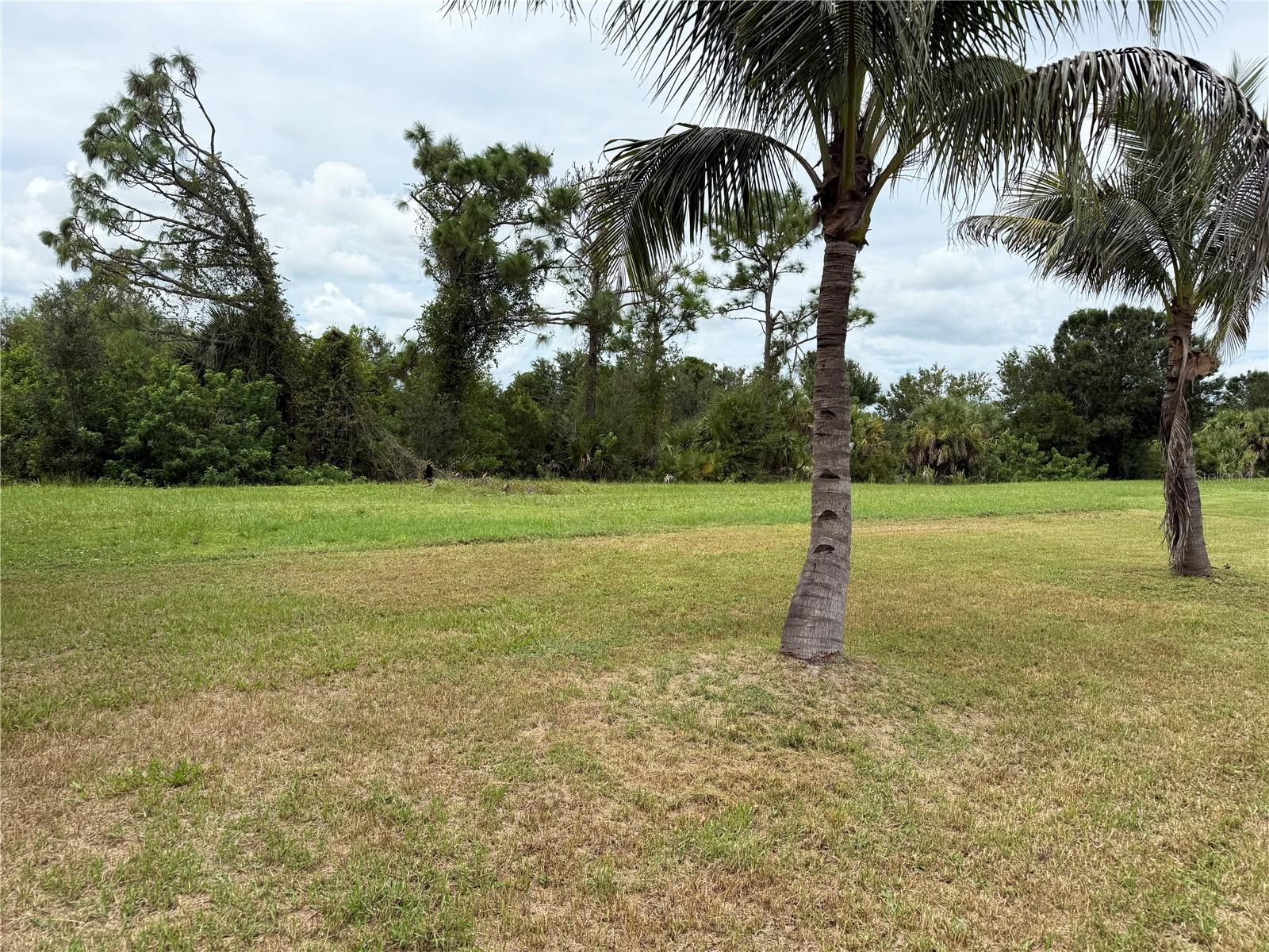 Image 45 of 49 For 501 San Cristobal Avenue