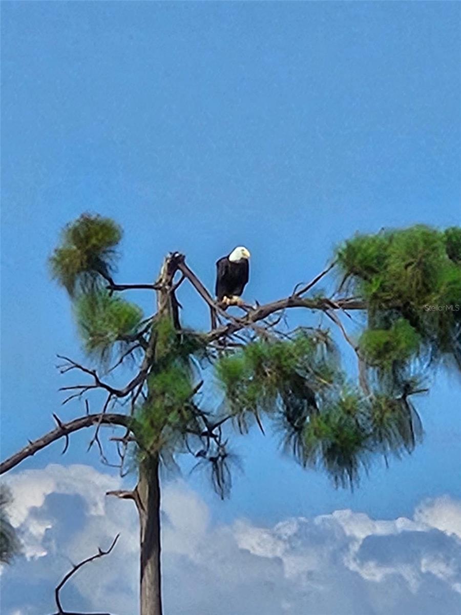 Image 76 of 76 For 16274 Preservation Boulevard