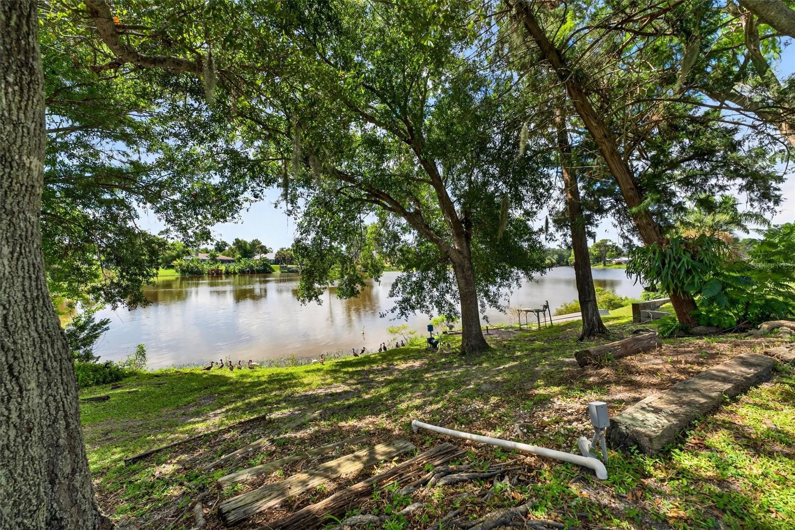 Image 37 of 51 For 23263 Bark Avenue