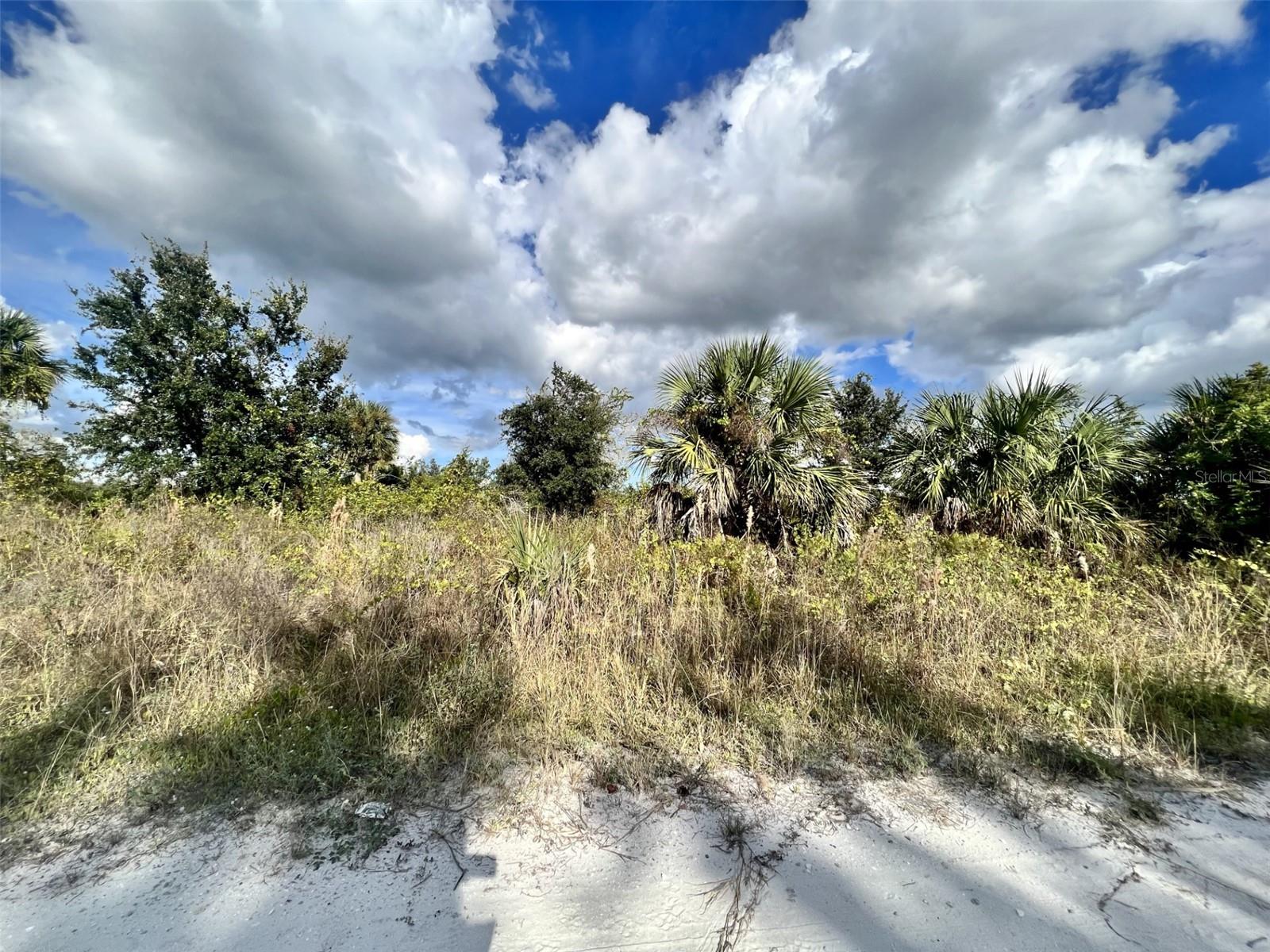 Details for 27120 San Carlos Drive, PUNTA GORDA, FL 33983