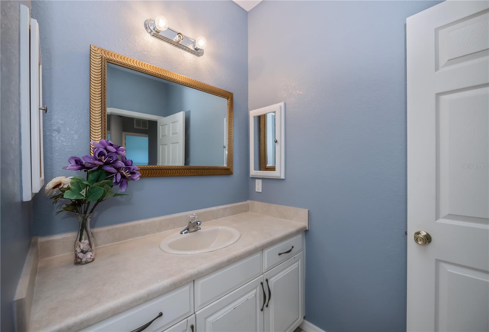 Image 38 of 68 For 10056 Lebanon Drive