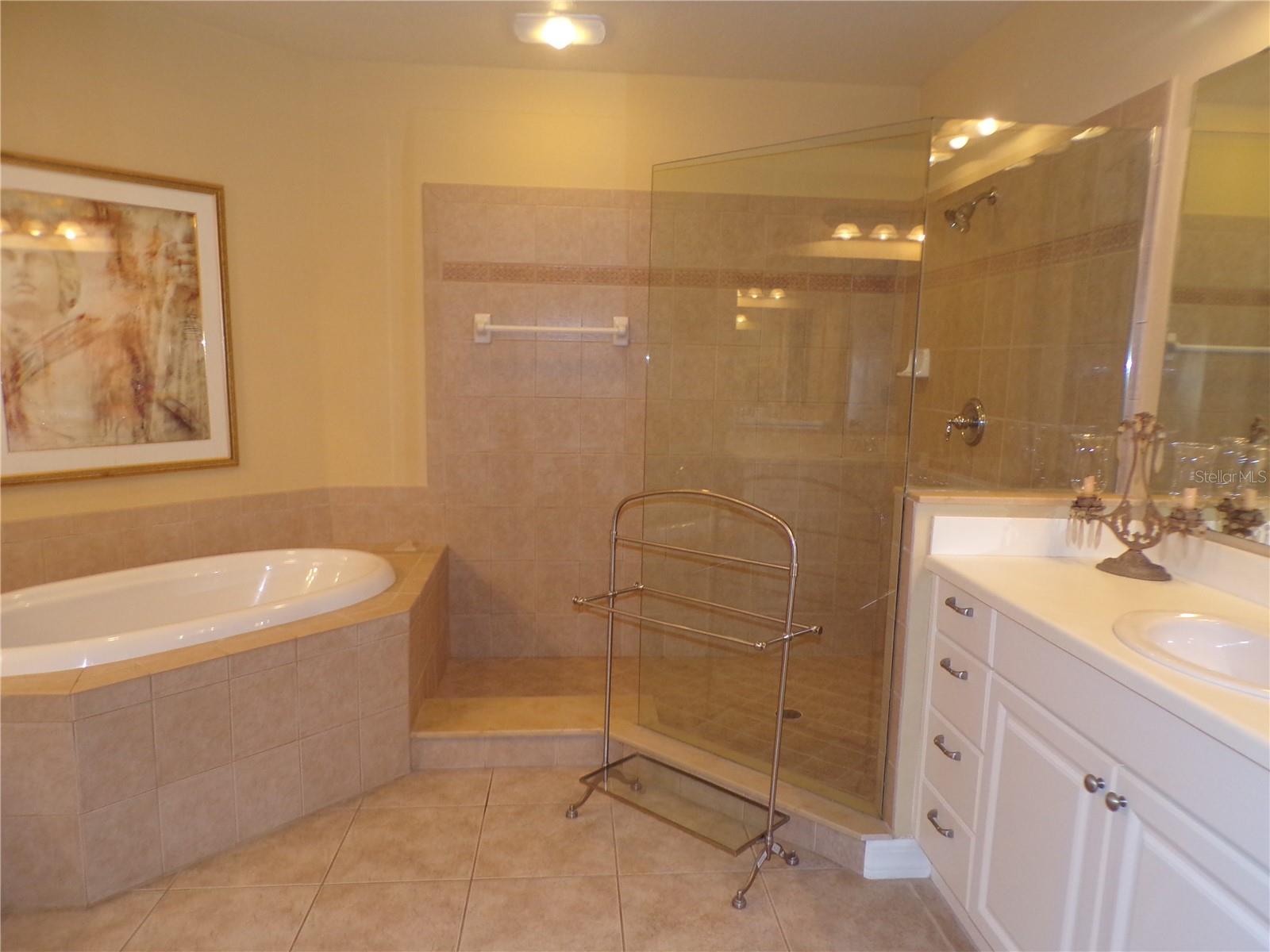 Image 51 of 65 For 96 Vivante Boulevard 9647