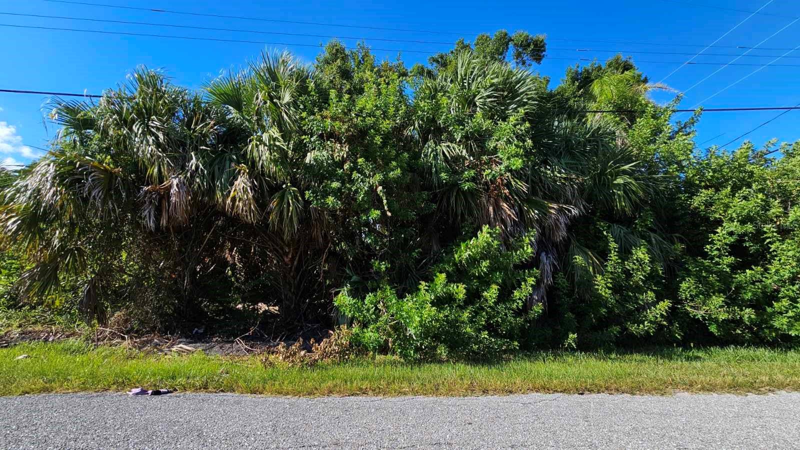 Image 19 of 21 For 0 La Palma  