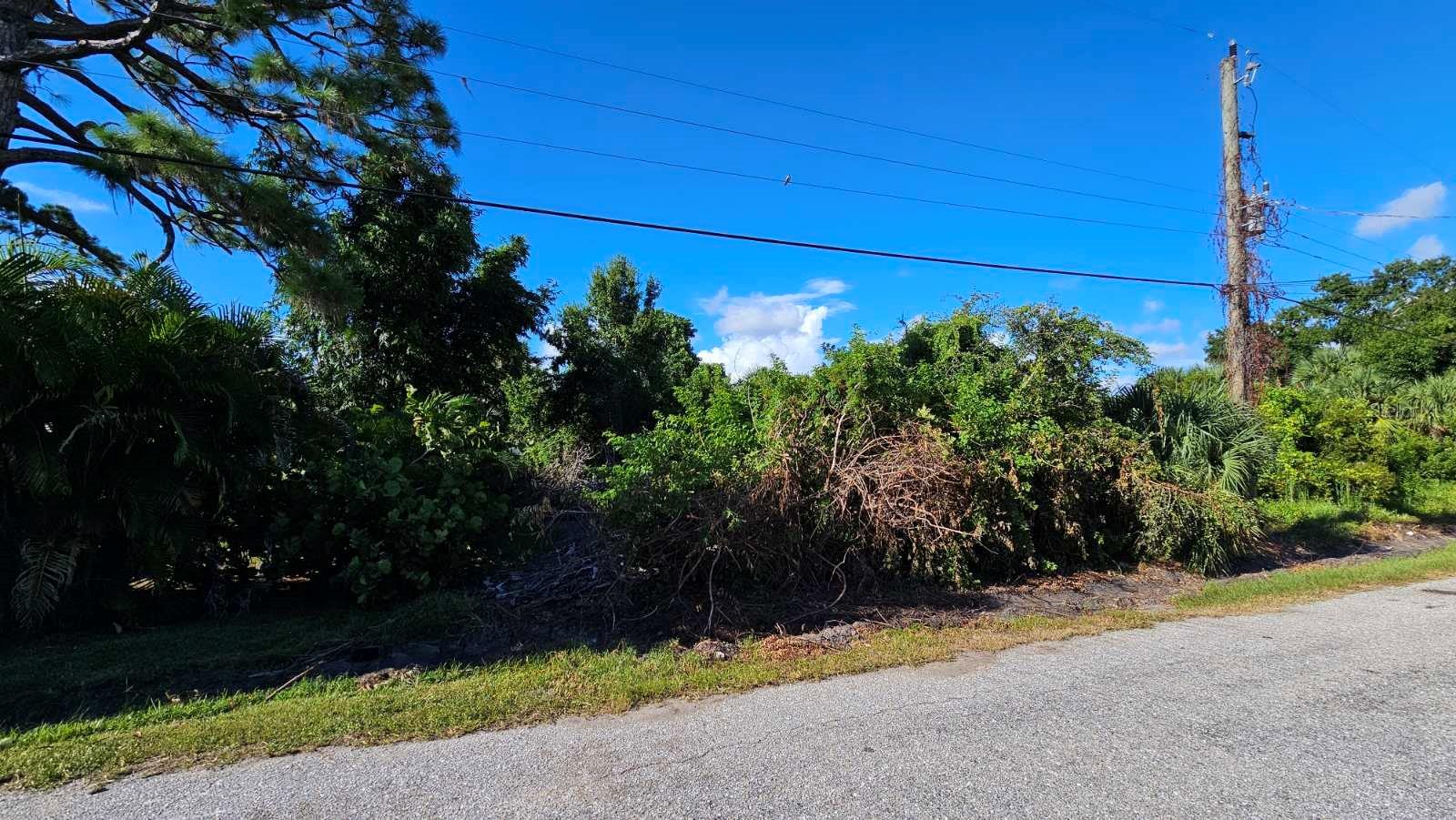 Image 20 of 21 For 0 La Palma  