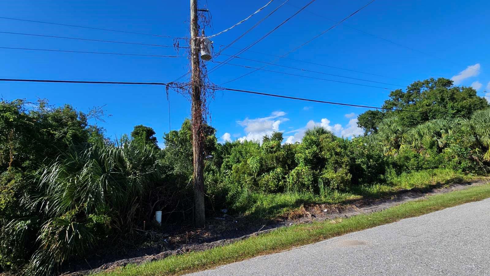 Image 21 of 21 For 0 La Palma  