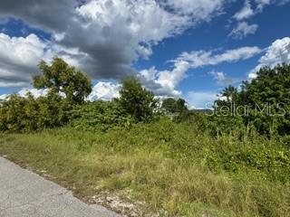 Image 10 of 13 For 3913 14th Street Sw