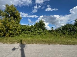 Image 8 of 13 For 3913 14th Street Sw