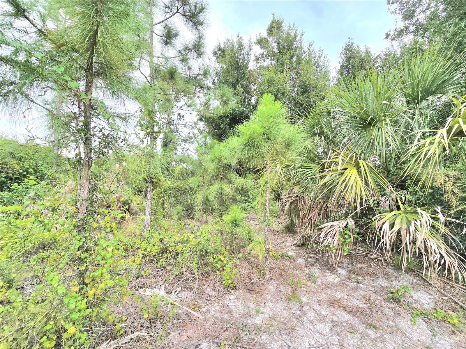 Image 10 of 36 For 10382 Deerwood Avenue