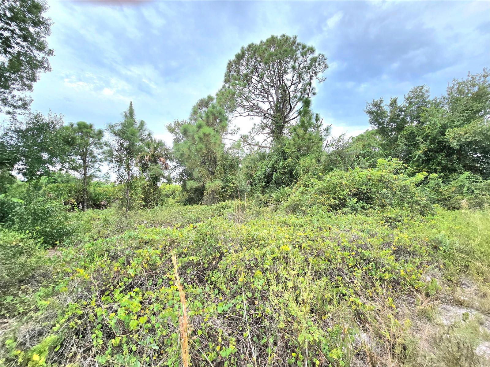 Image 6 of 36 For 10382 Deerwood Avenue