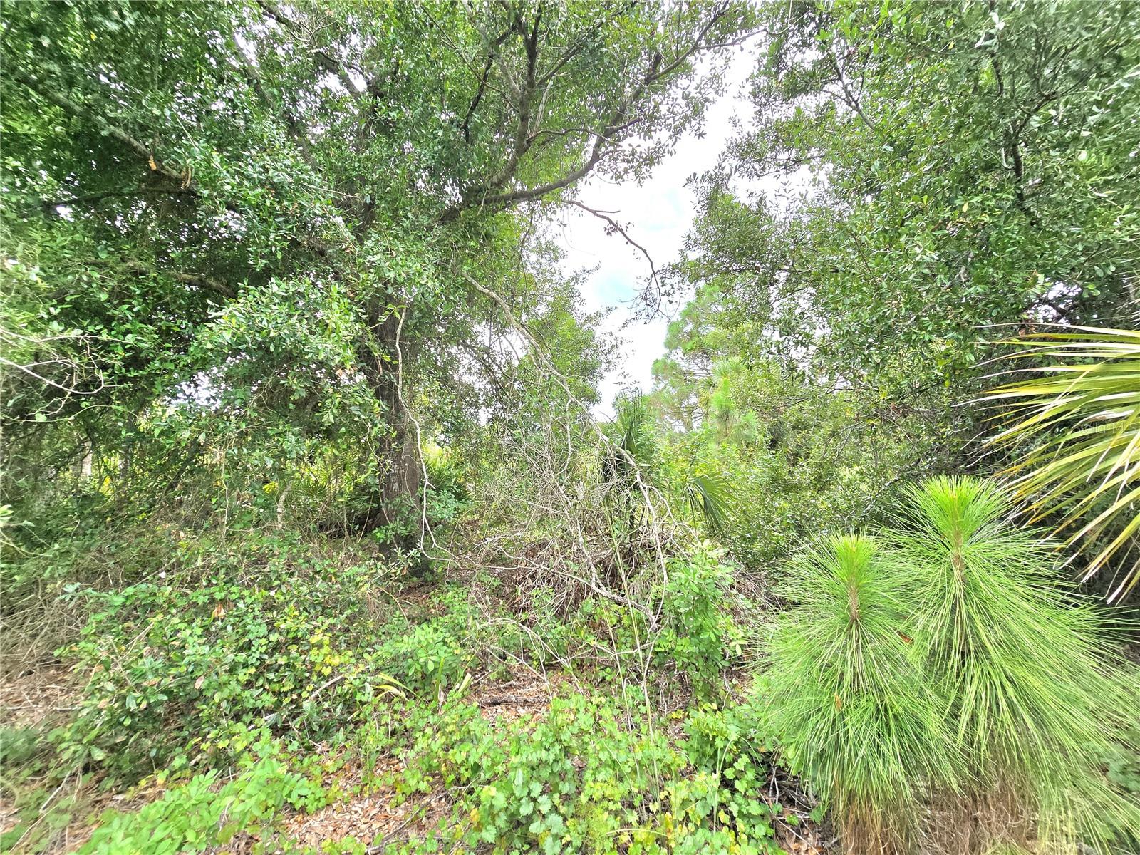 Image 8 of 36 For 10382 Deerwood Avenue
