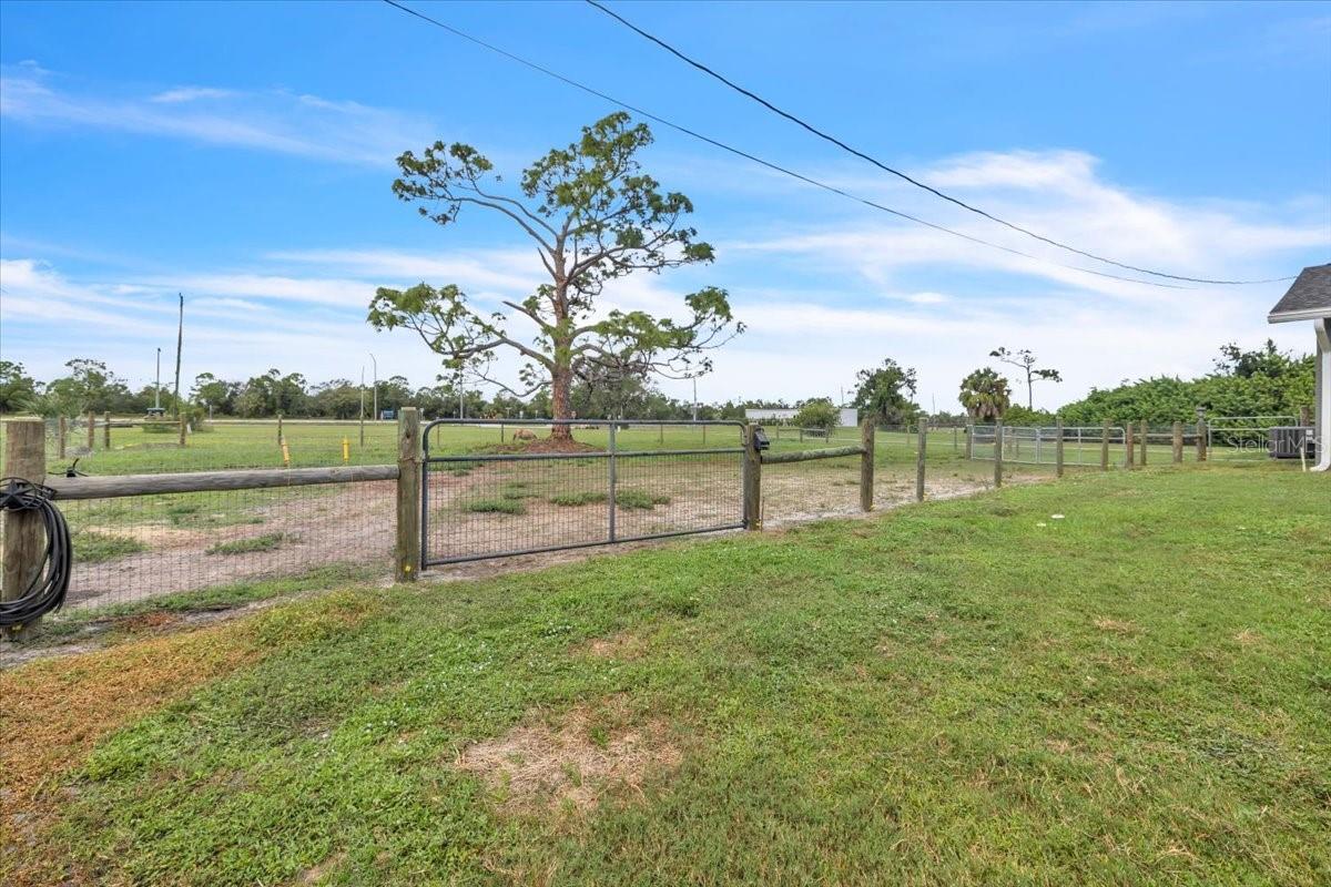 Image 31 of 36 For 30049 Balsam Boulevard