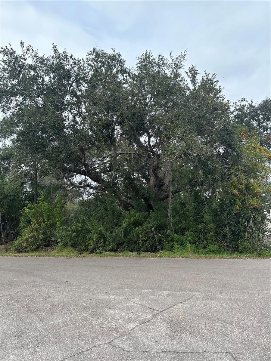 Details for 22342 Bradford Avenue, PORT CHARLOTTE, FL 33952