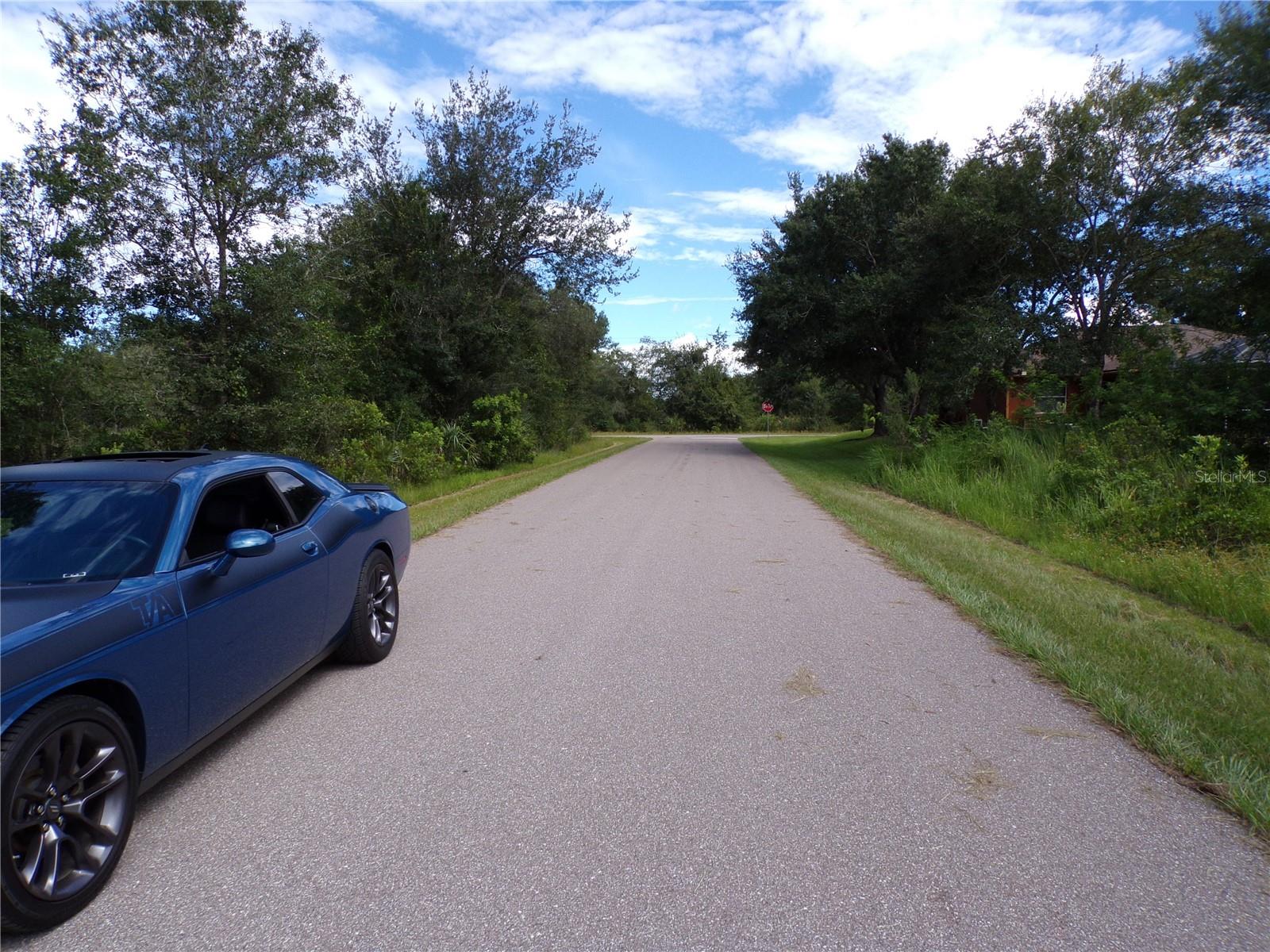 Image 8 of 33 For 36 Vine Circle