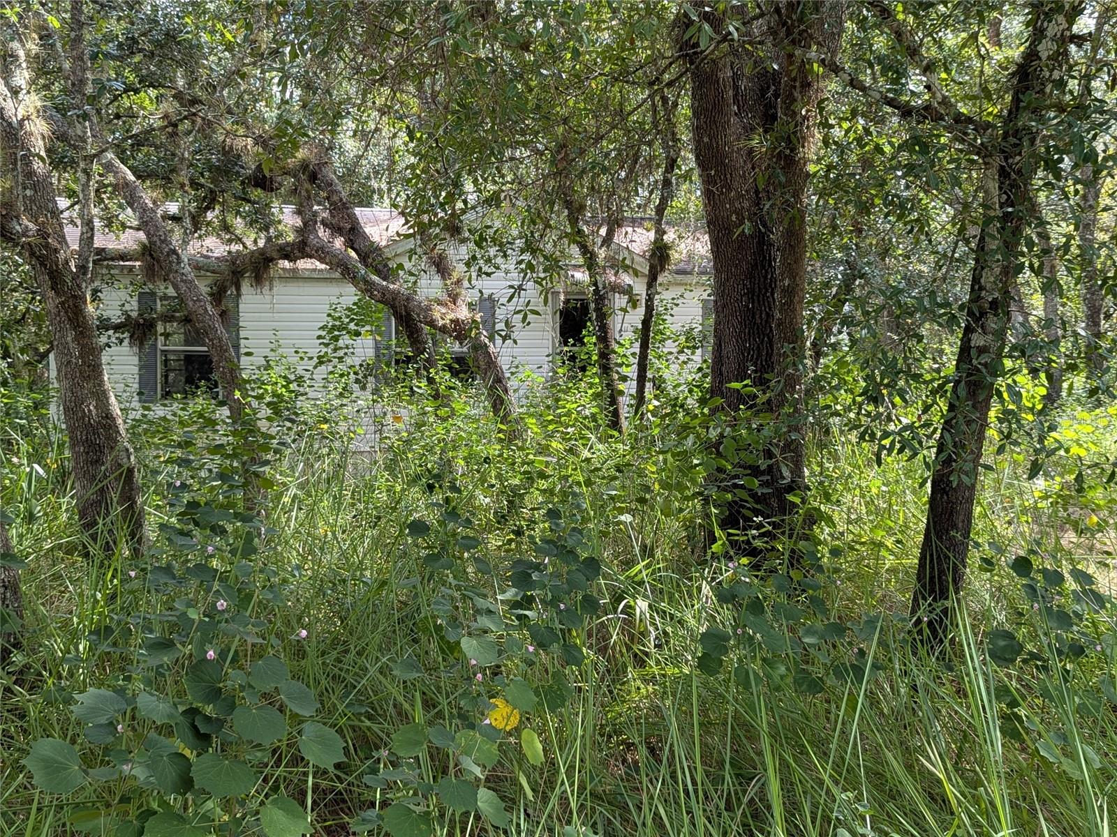 Image 11 of 49 For 7062 Crooked Creek Lane