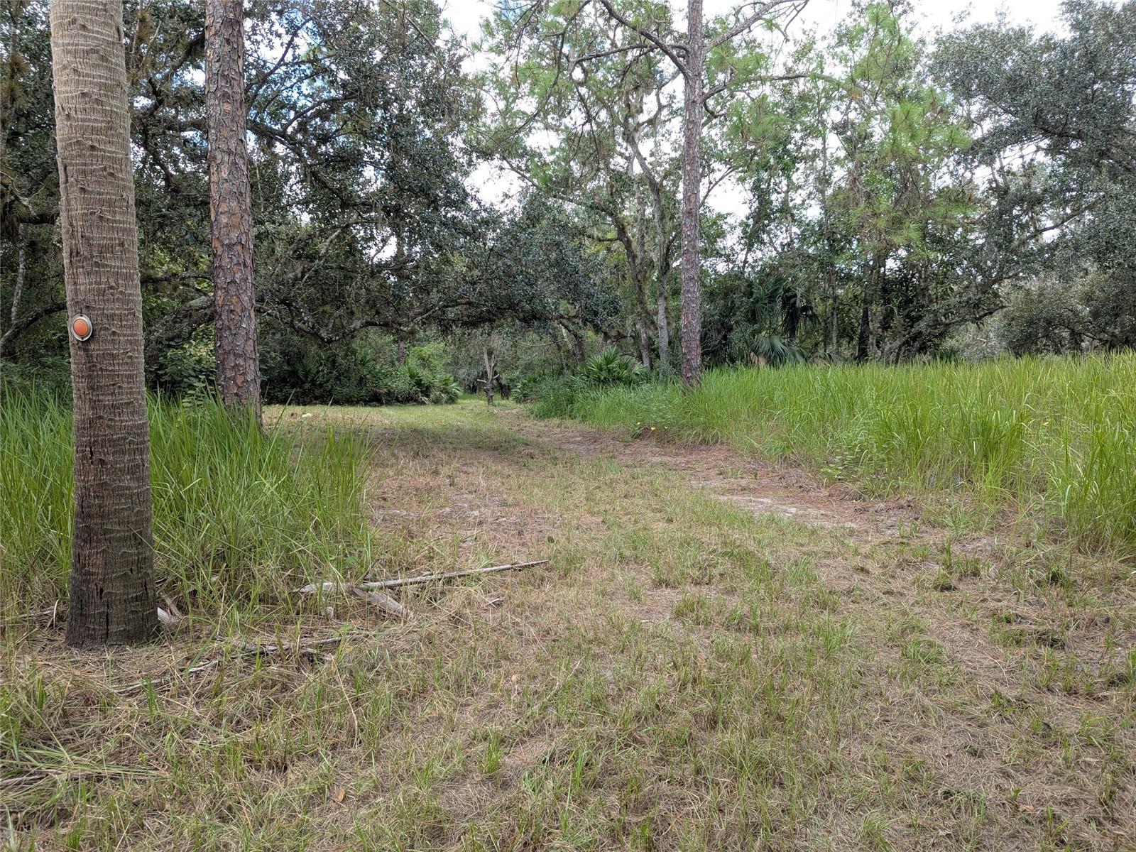 Image 2 of 49 For 7062 Crooked Creek Lane