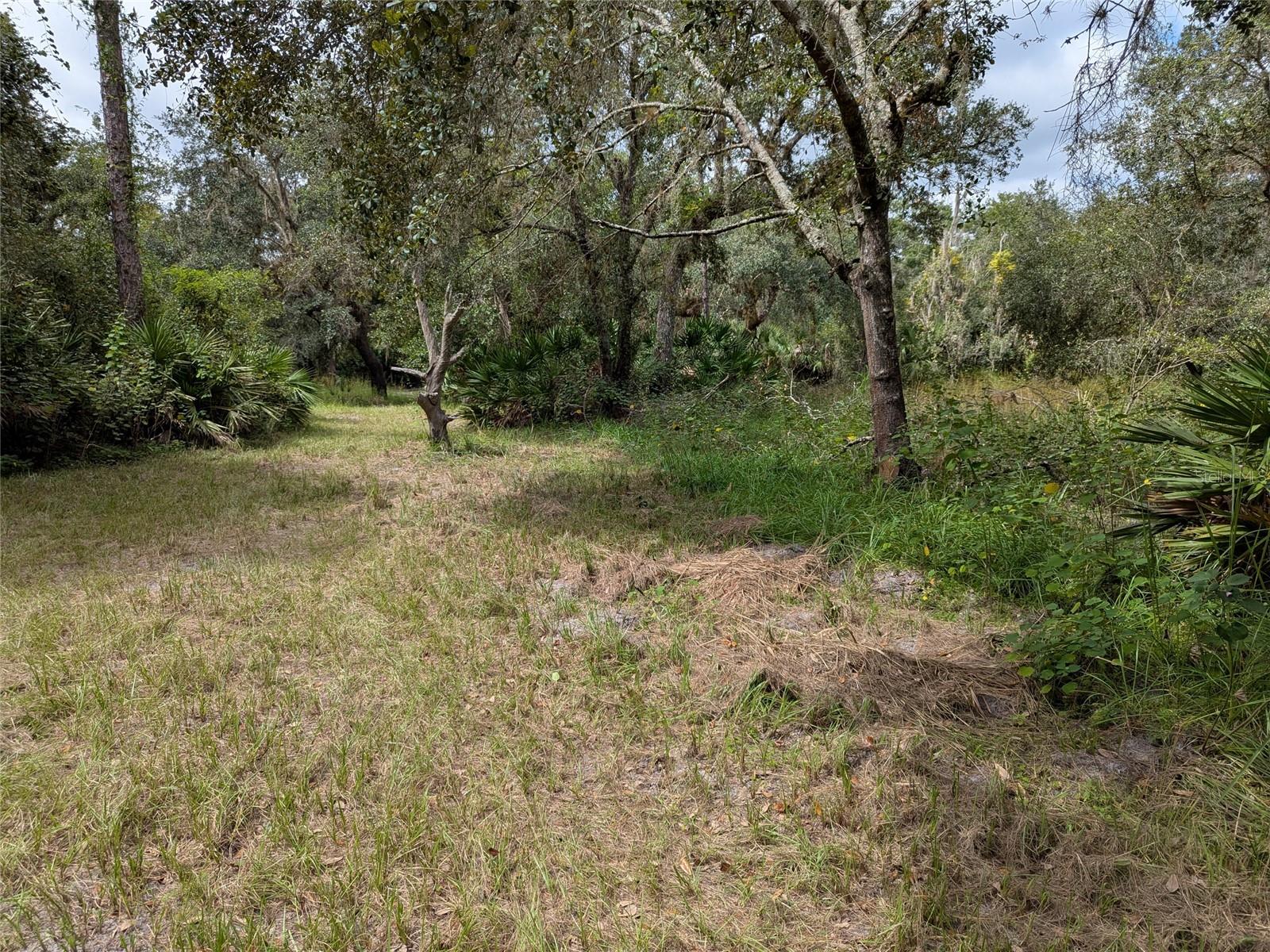 Image 40 of 49 For 7062 Crooked Creek Lane