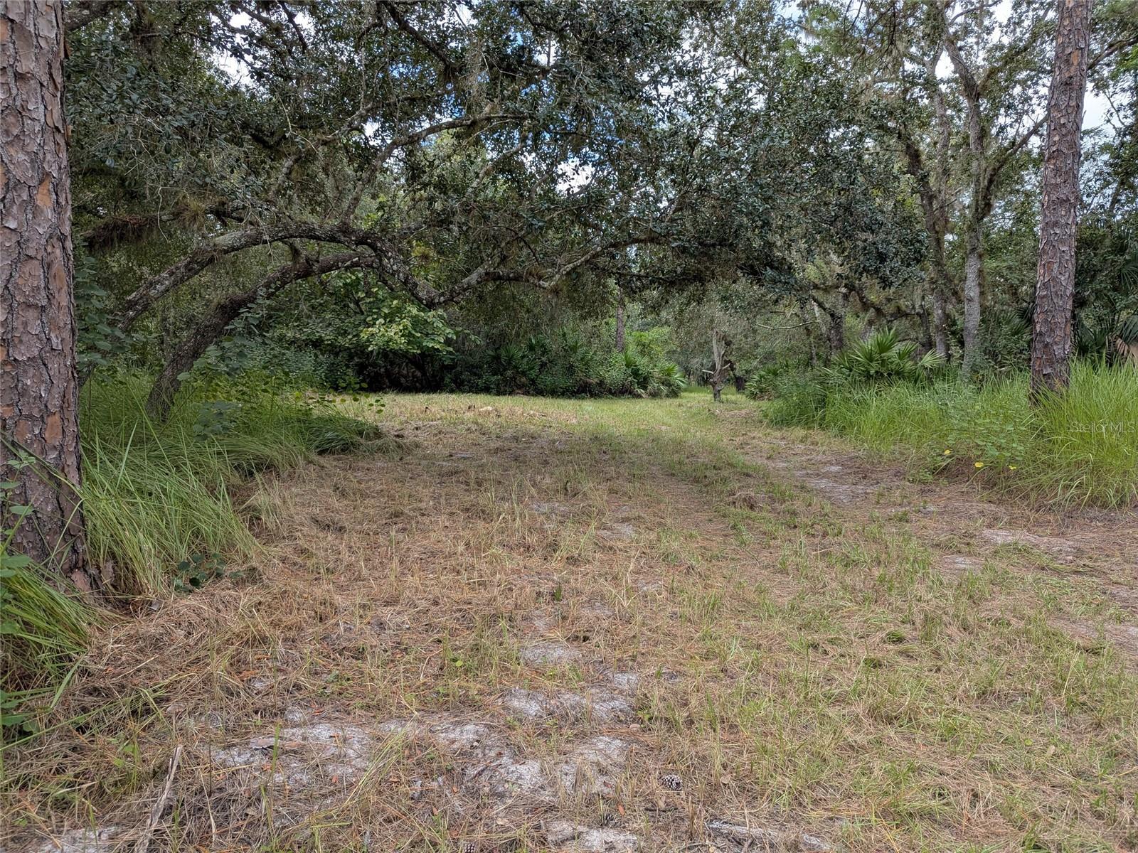 Image 41 of 49 For 7062 Crooked Creek Lane