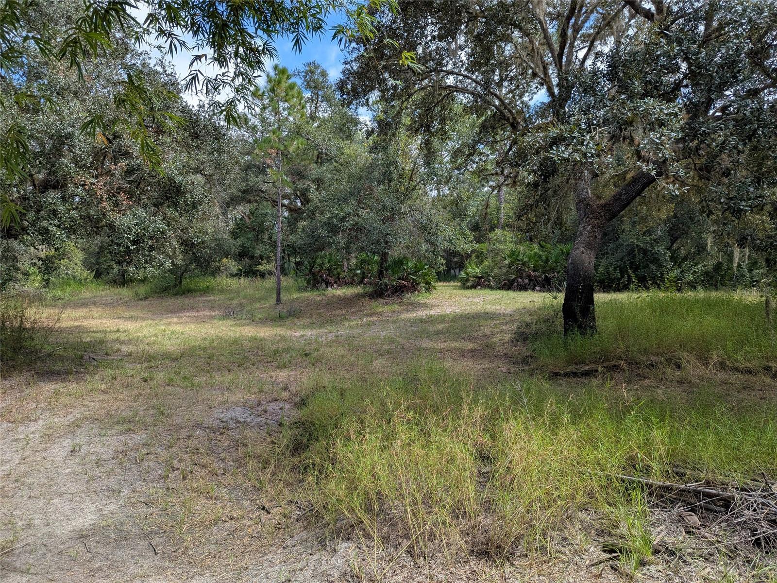 Image 42 of 49 For 7062 Crooked Creek Lane