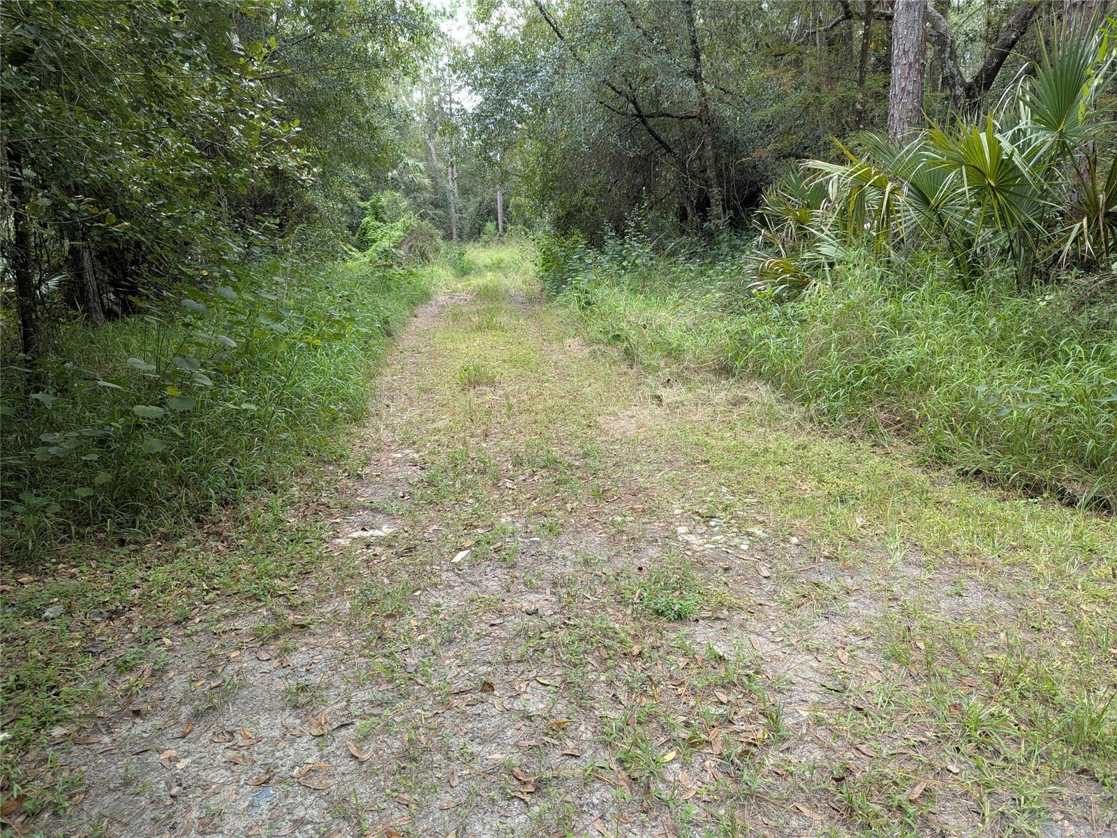 Image 46 of 49 For 7062 Crooked Creek Lane
