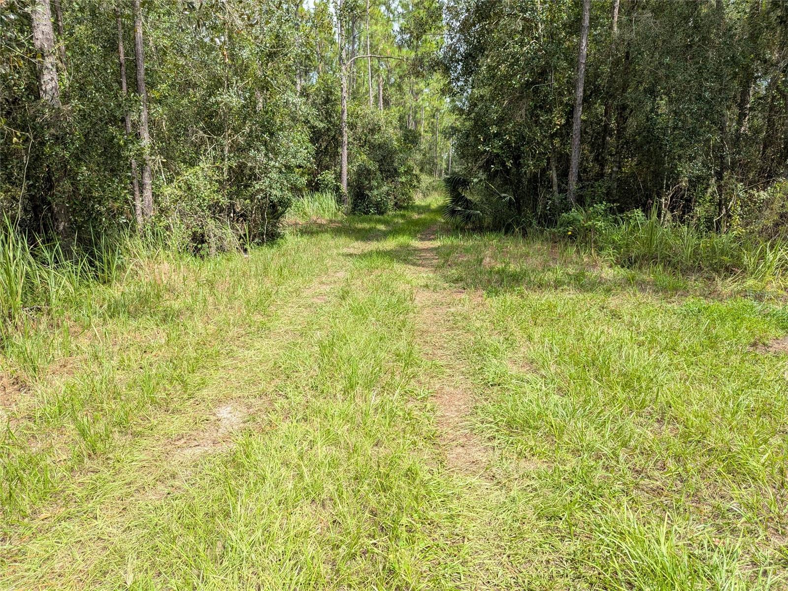 Image 49 of 49 For 7062 Crooked Creek Lane
