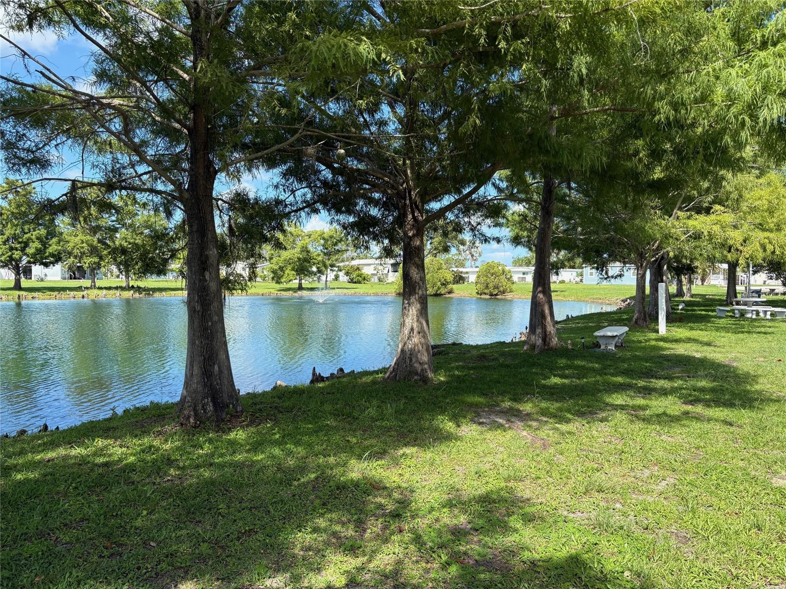 Image 56 of 56 For 6562 Hikina Drive