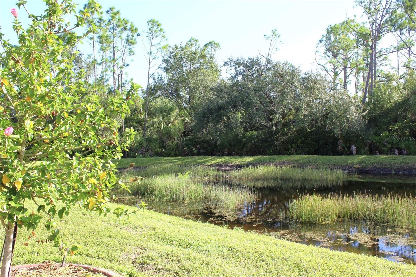 Image 81 of 98 For 2444 Daisy Drive