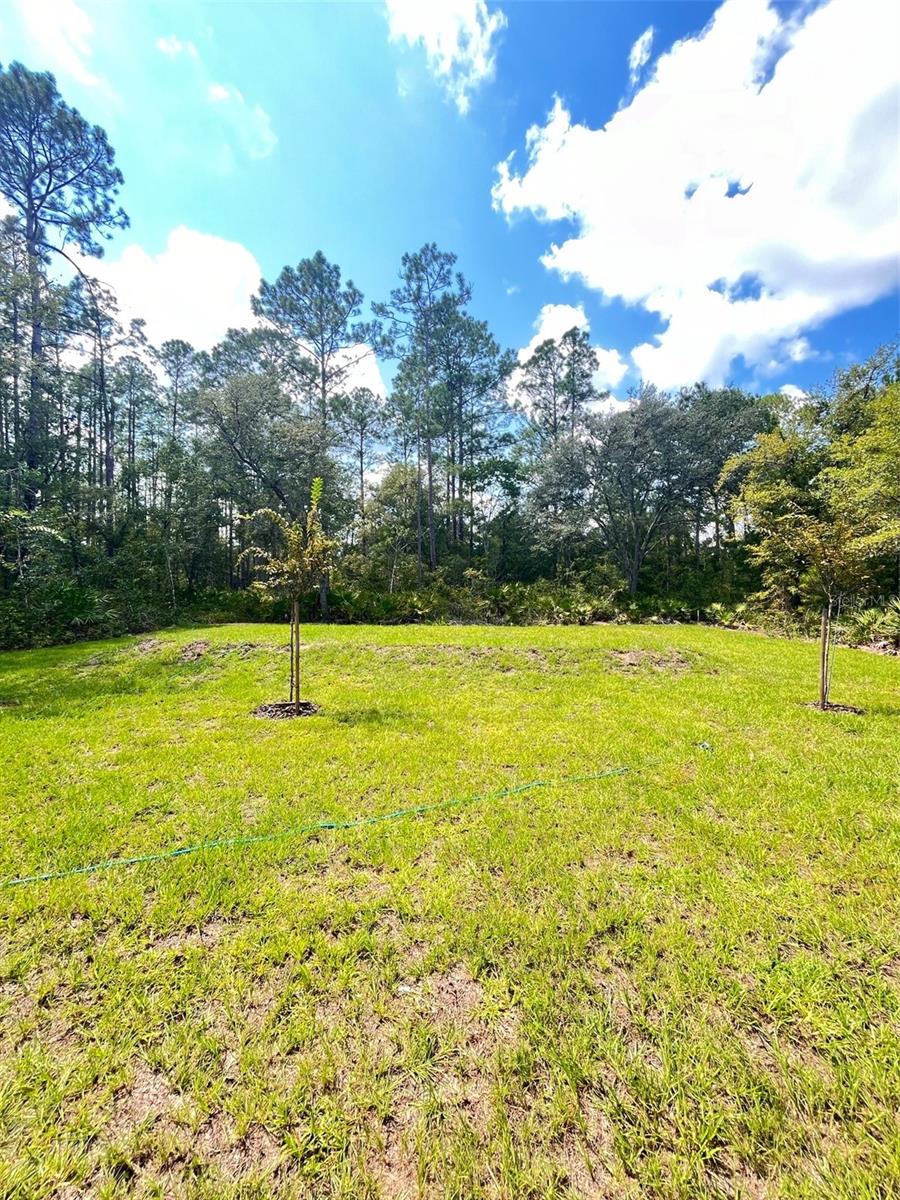 Image 8 of 10 For 10645 Weatherby Avenue