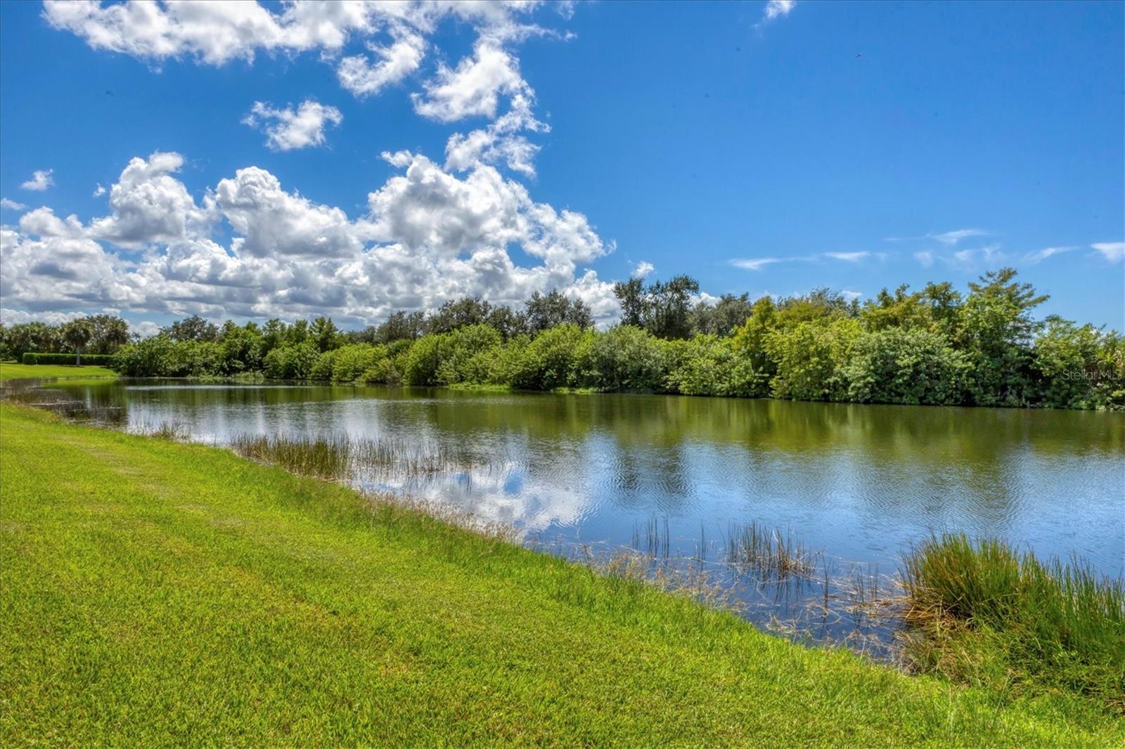 Image 35 of 68 For 25121 Golden Fern Drive