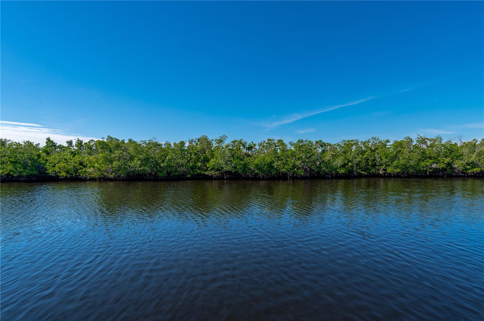 Image 58 of 70 For 2831 Deborah Drive