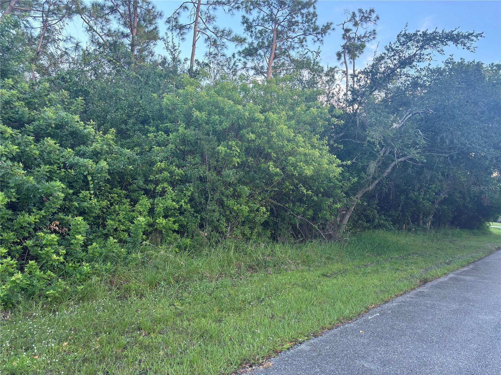 Image 2 of 3 For 919 Phyllis Terrace