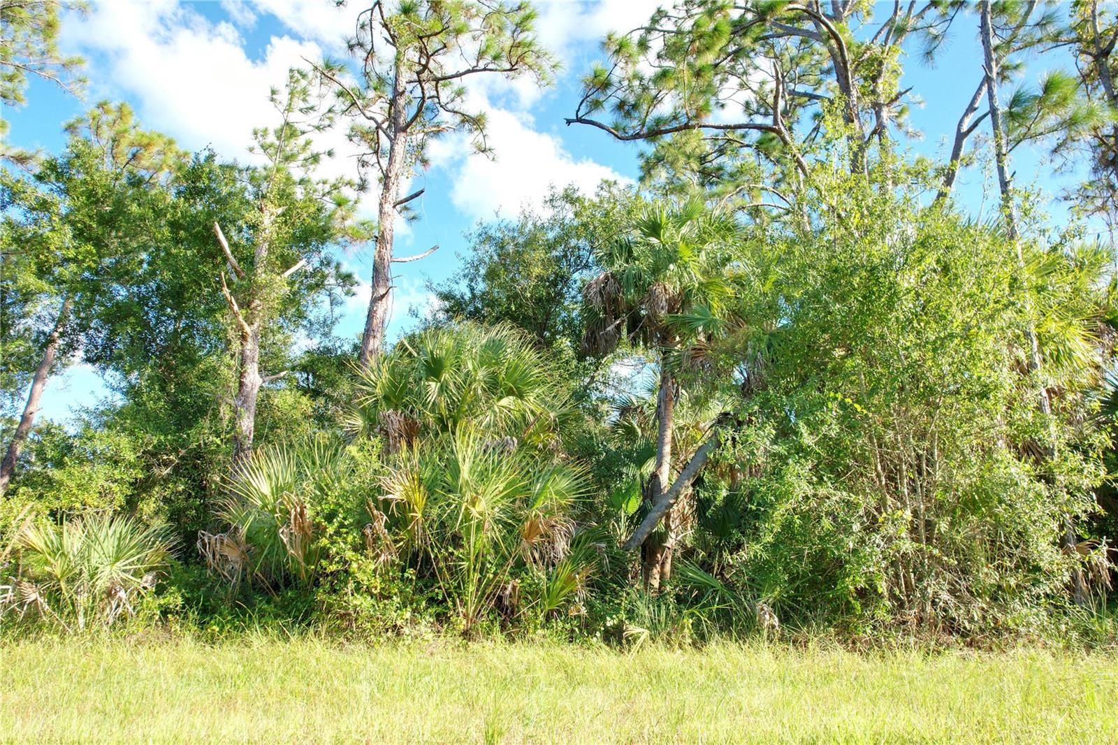 Image 12 of 33 For 1294 Birch Terrace