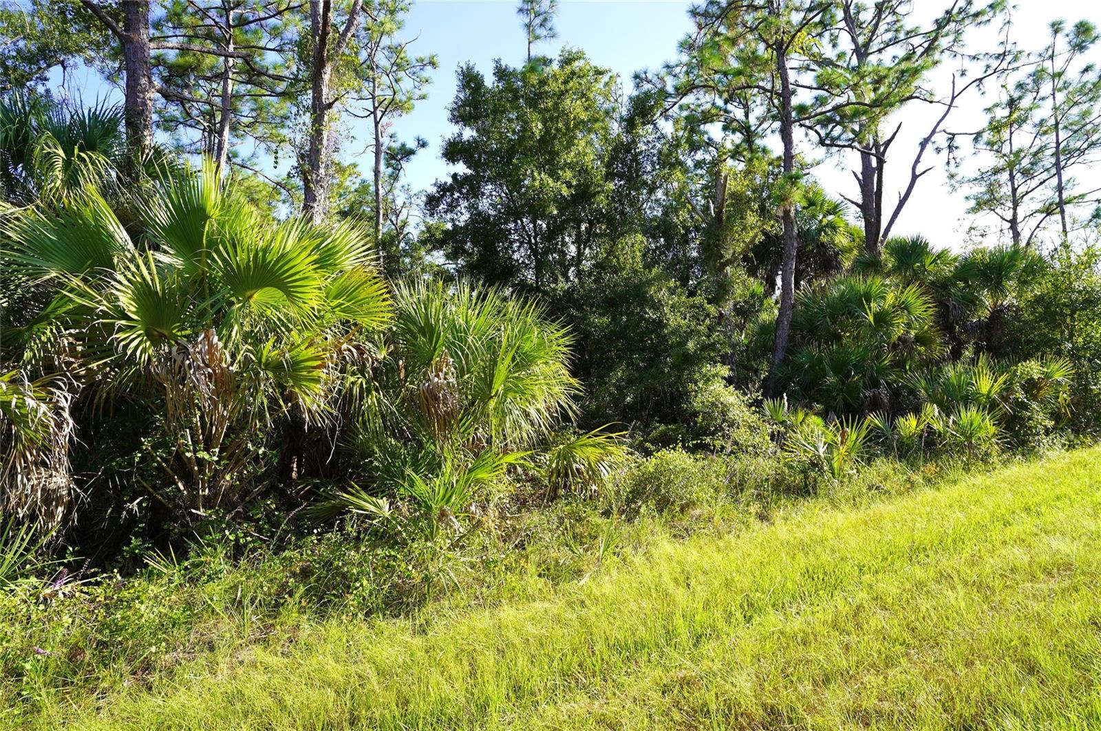 Image 2 of 33 For 1294 Birch Terrace