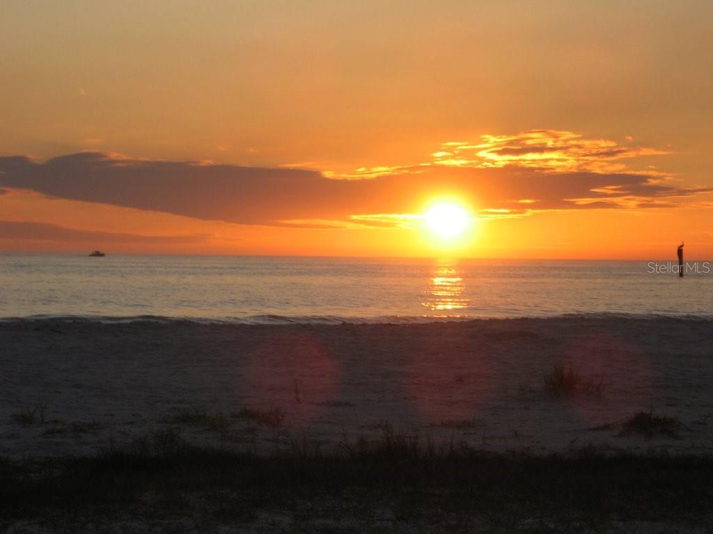 Image 24 of 33 For 1294 Birch Terrace